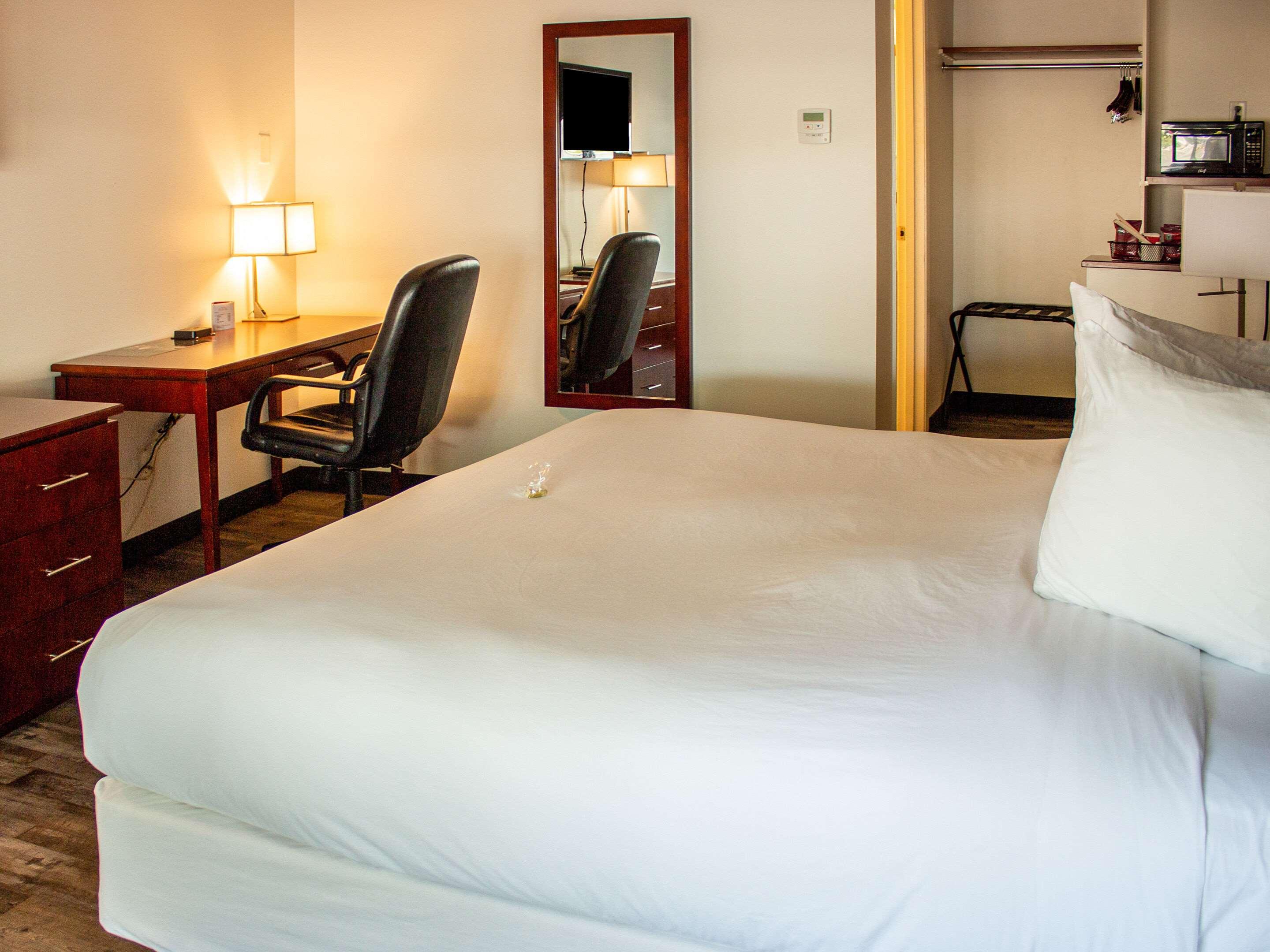 Double King Bed Non Smoking