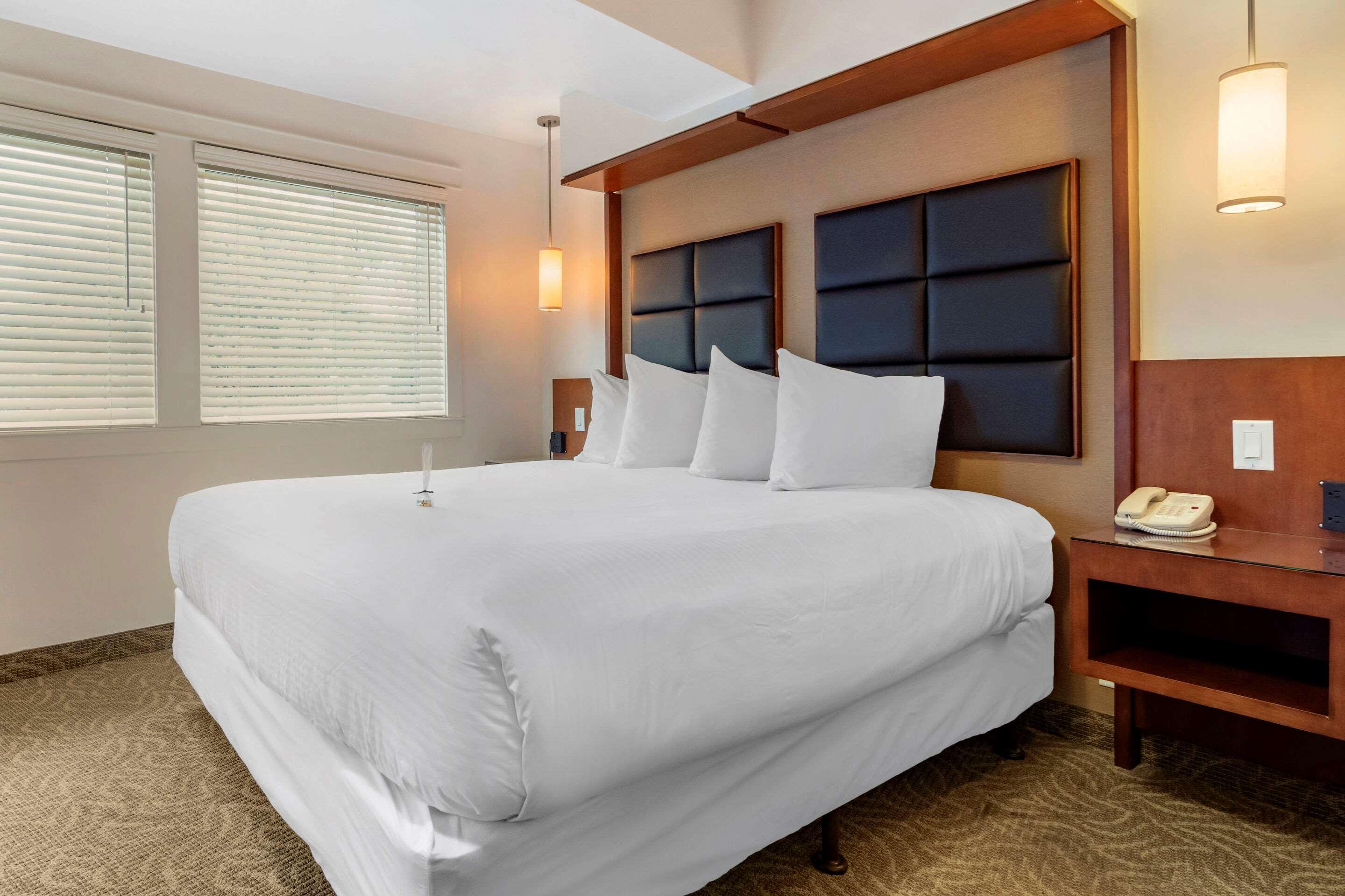 Double King Bed Non Smoking