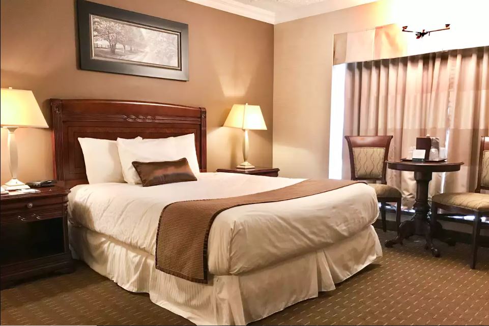 Double Queen Size Bed