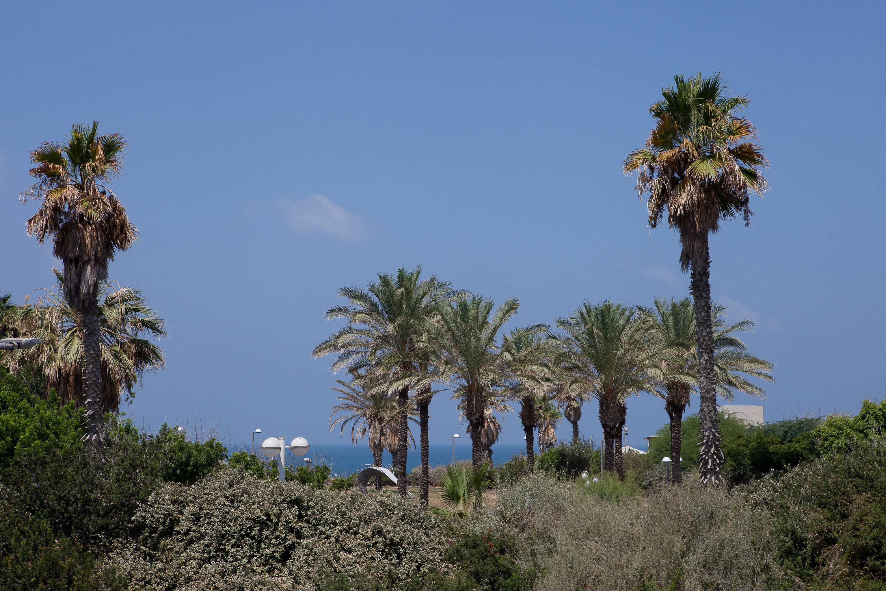 Apartment Grand Deluxe