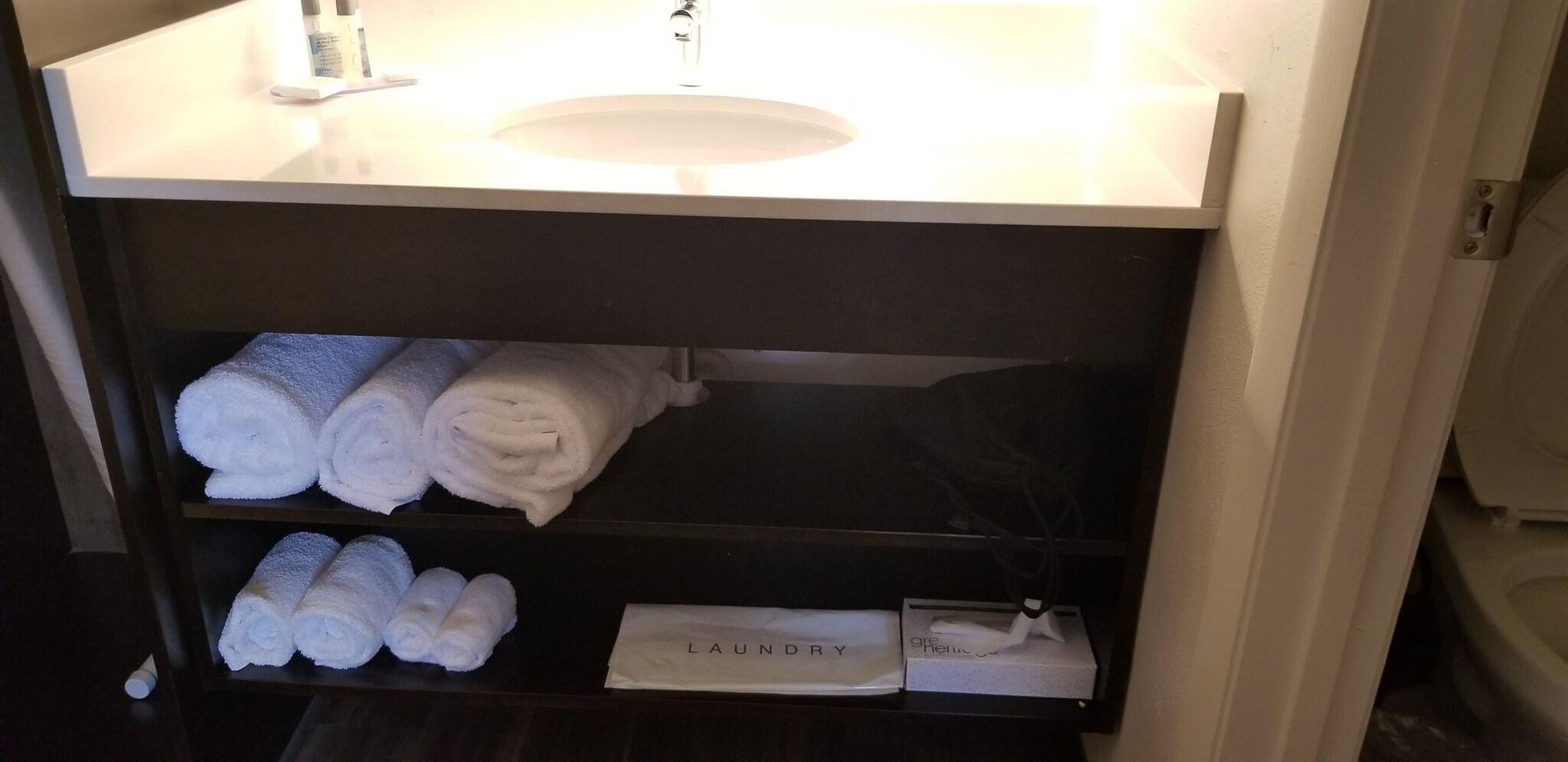 Suite King Bed Non Smoking