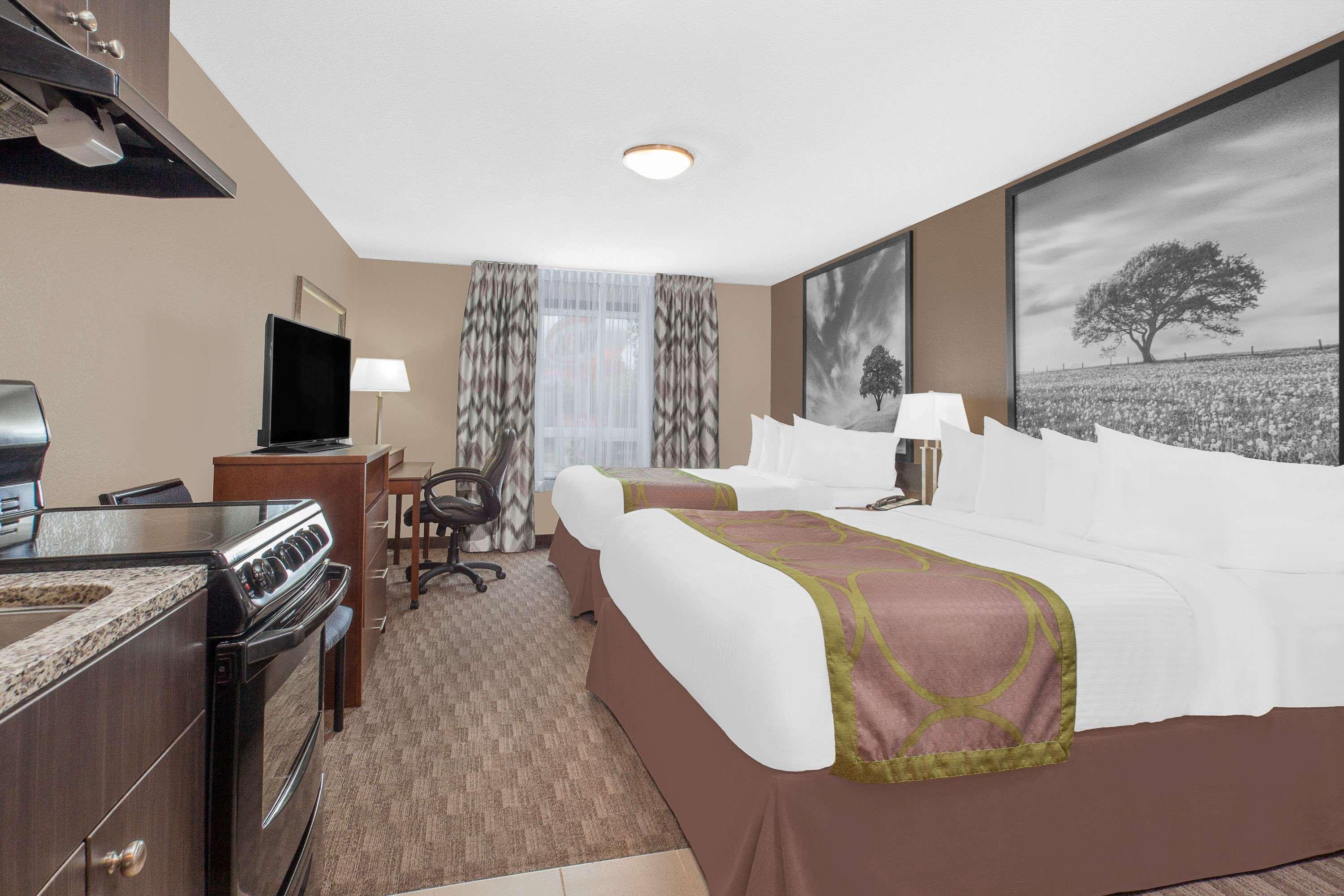 Quadruple Two Queen Beds