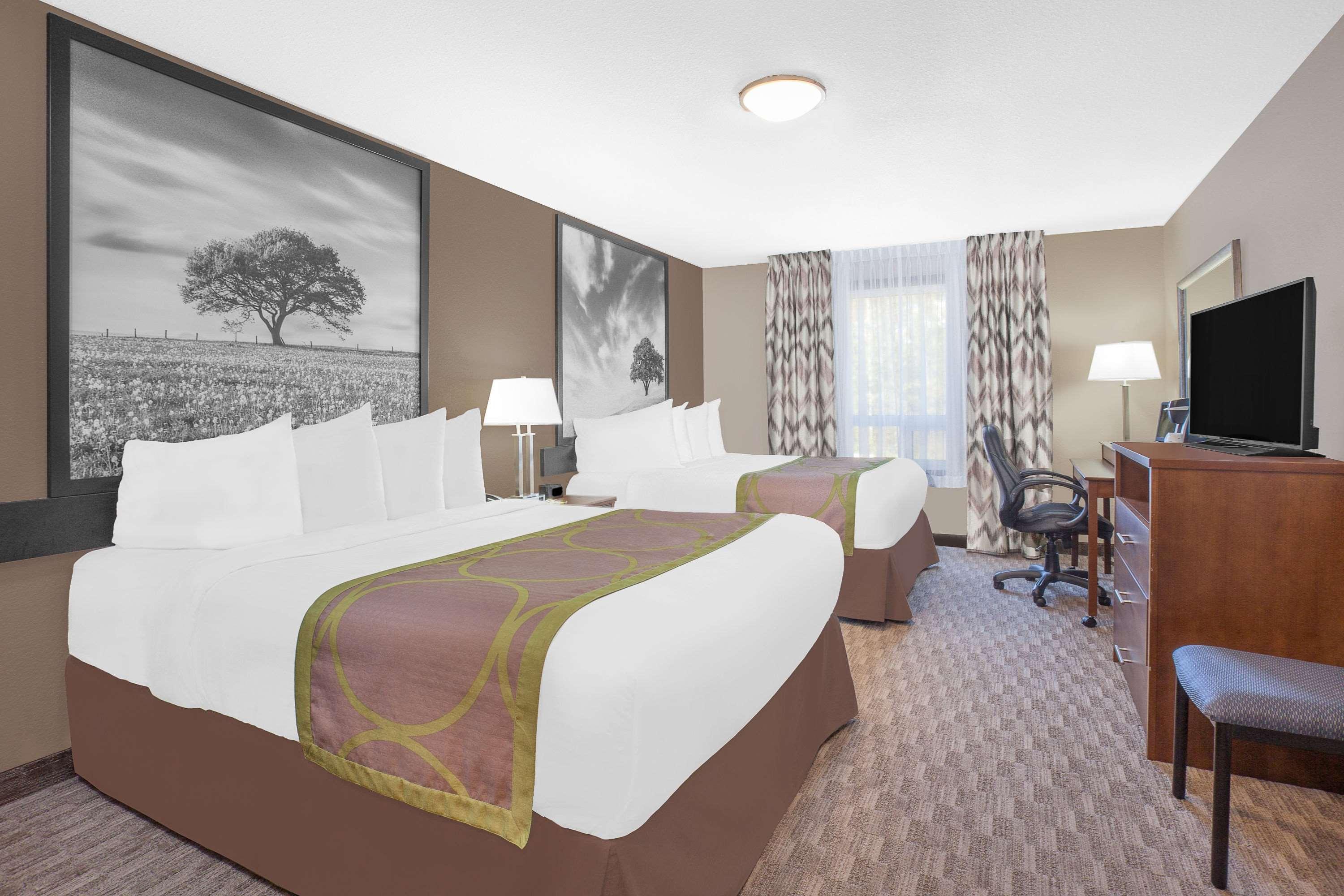 Quadruple Two Queen Beds