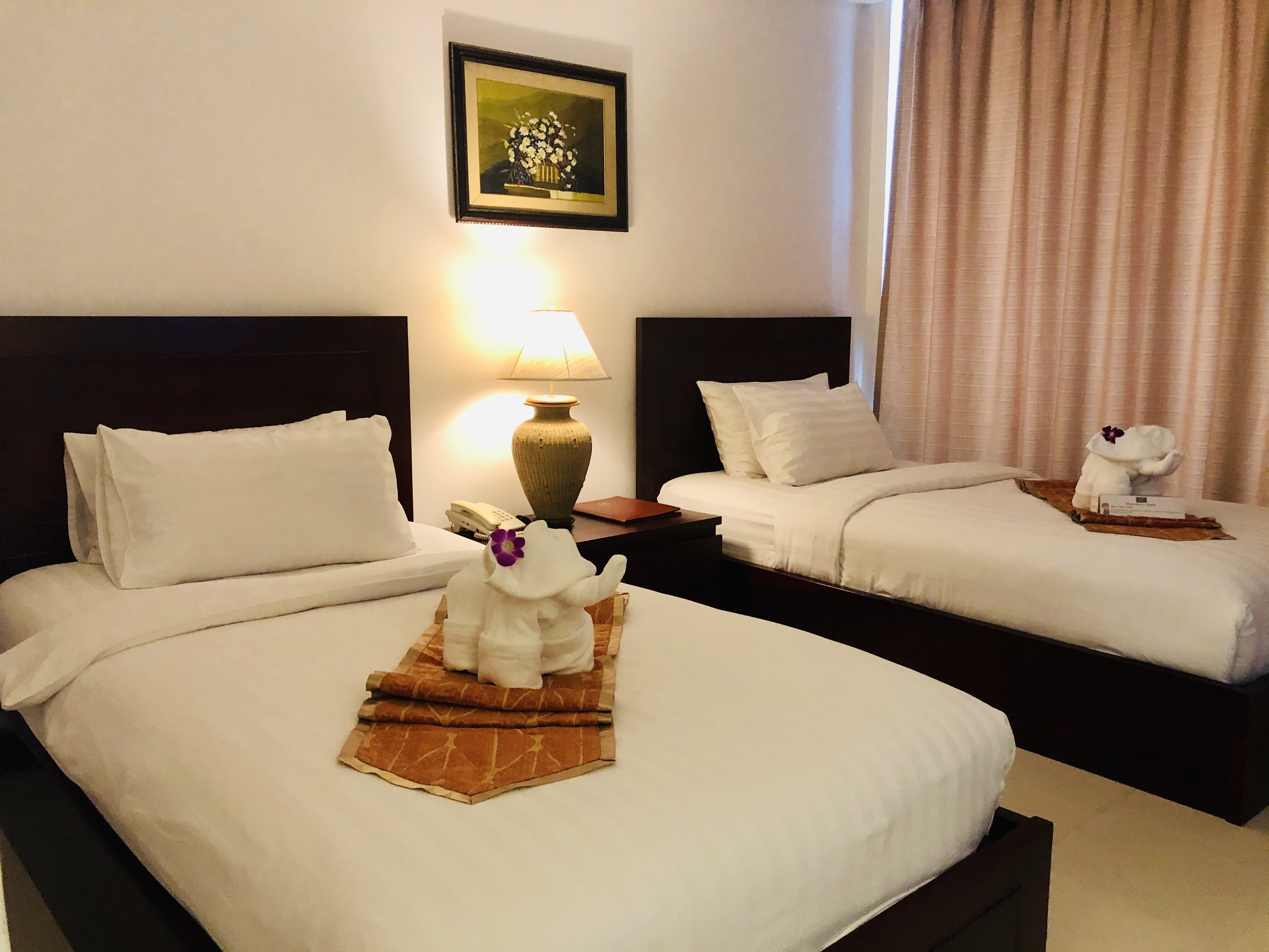 Double or Twin Superior