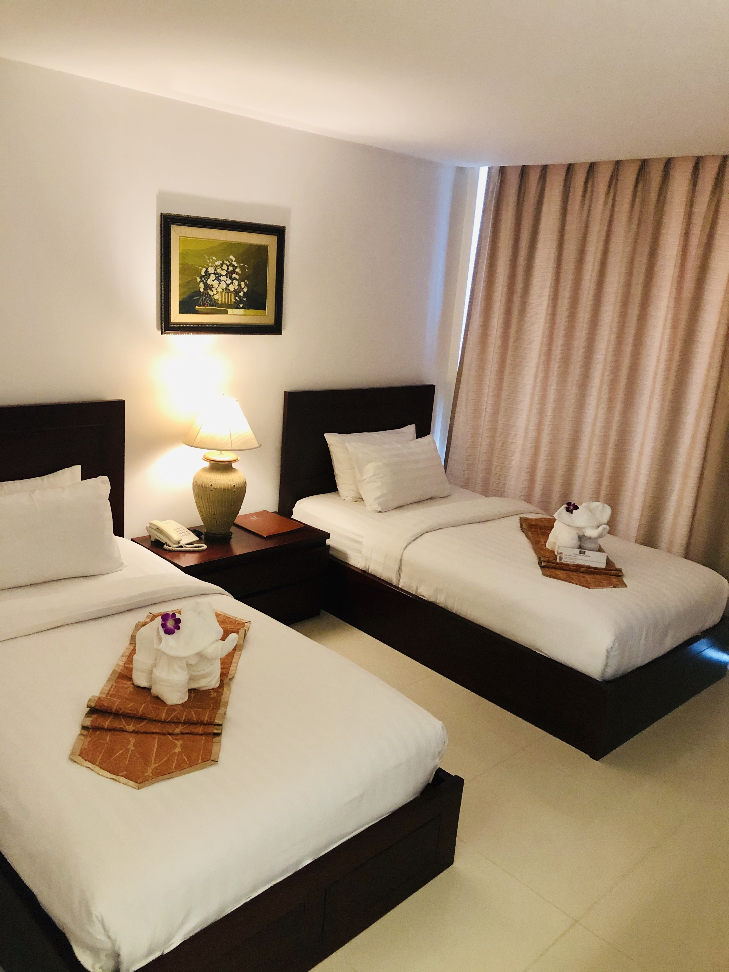 Double or Twin Superior