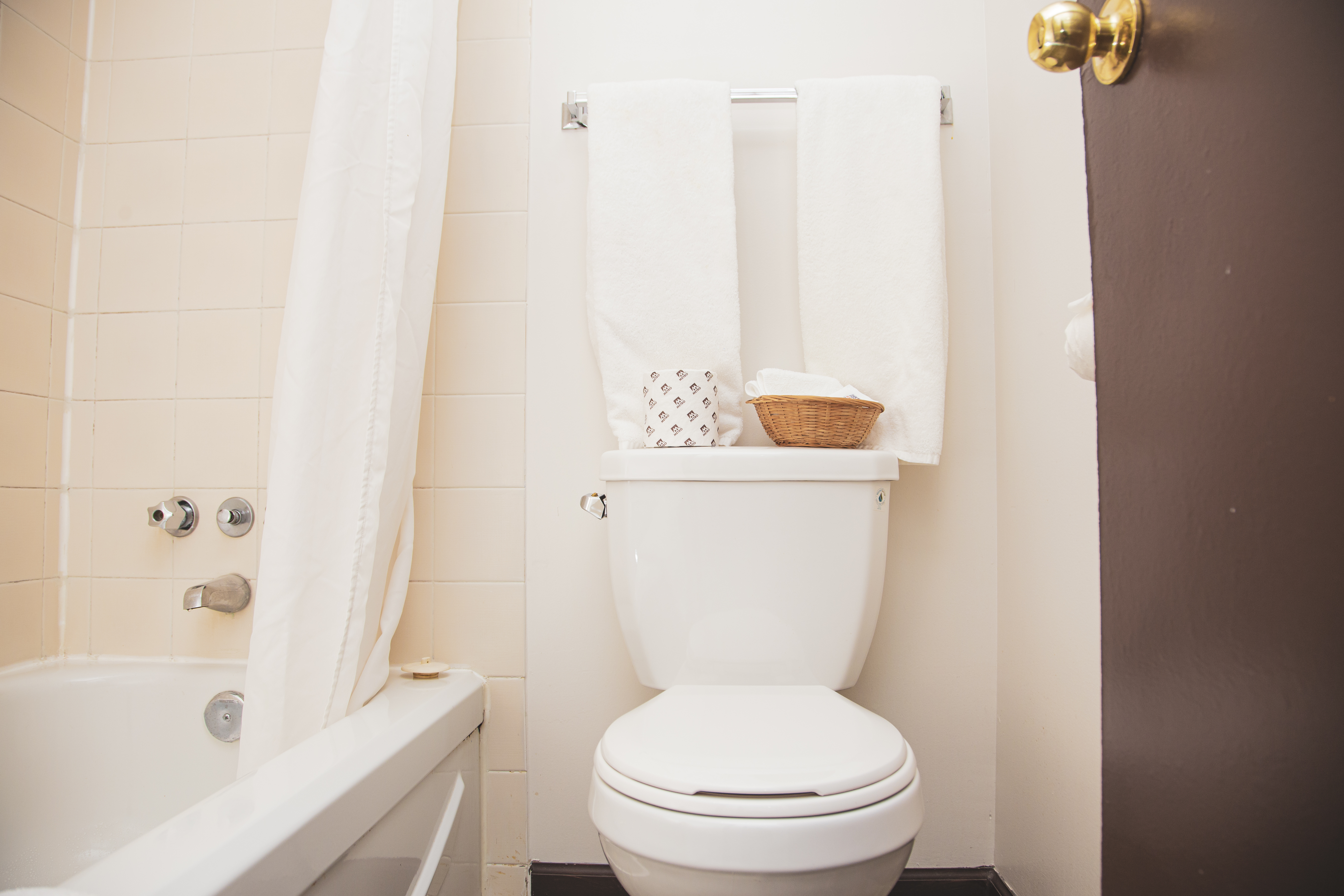 Double Two Queen Beds