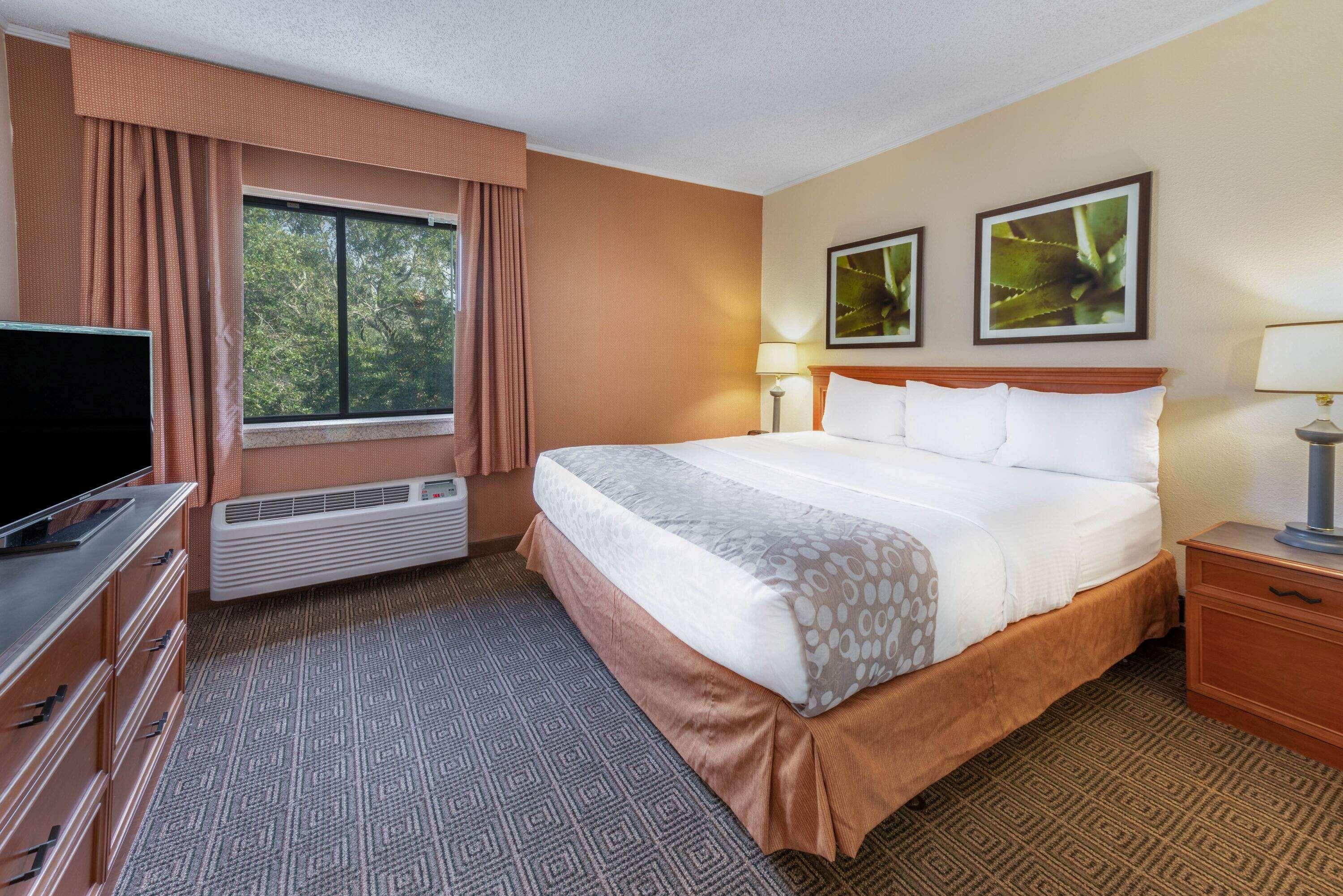 Suite King Bed Non Smoking