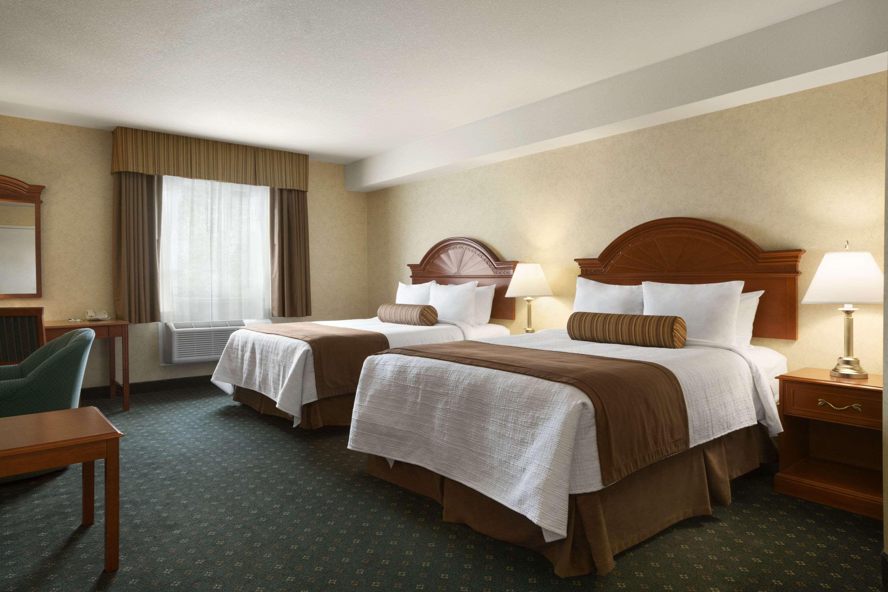 Suite Two Queen Beds