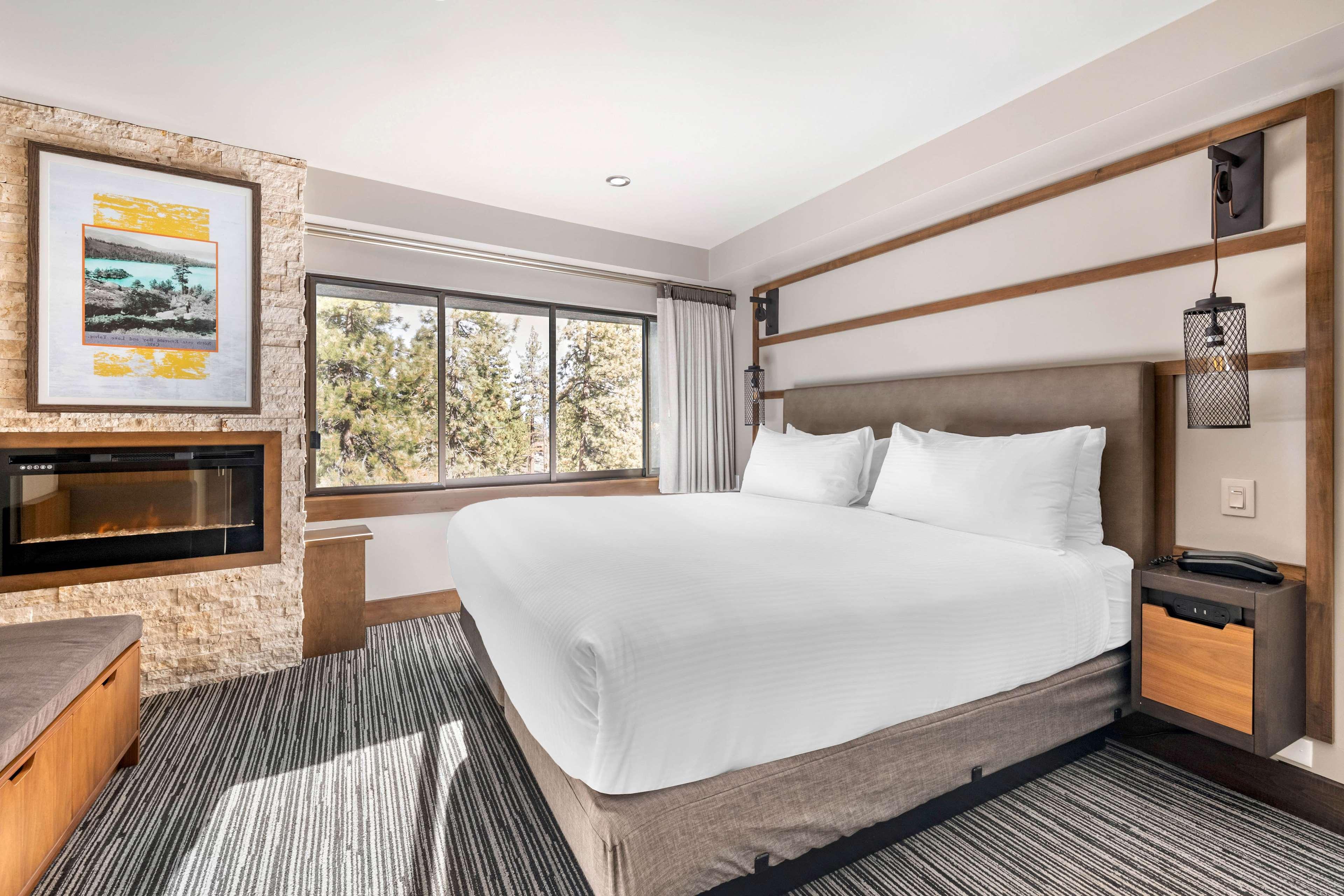 Suite King Bed One Bedroom 