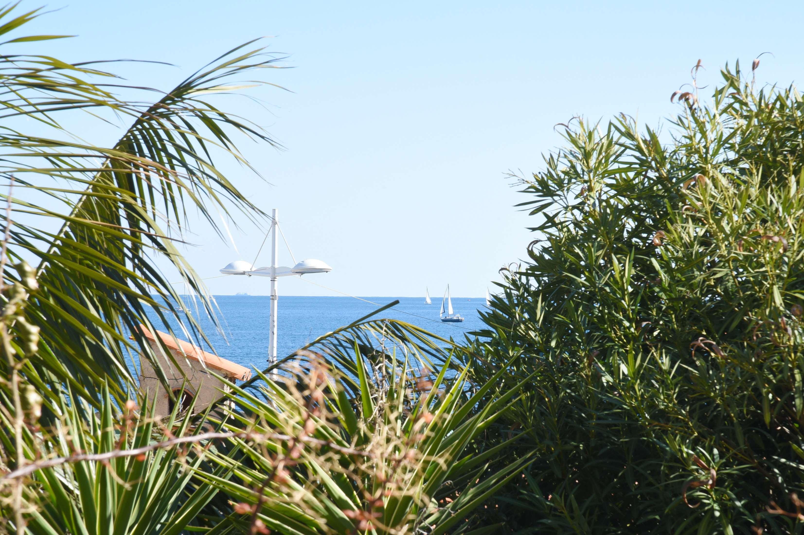 Double Queen Size Bed