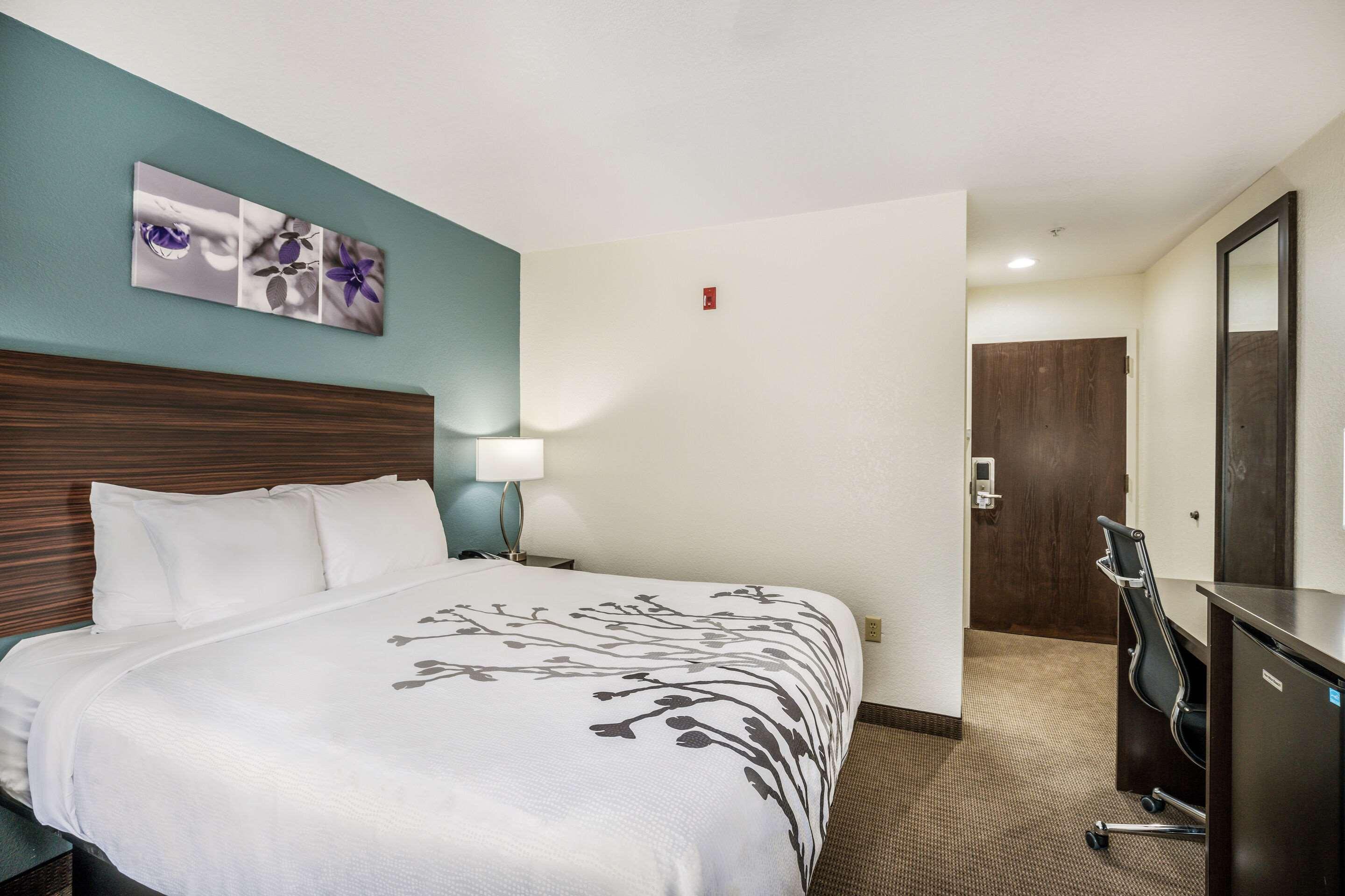 Double Queen Size Bed