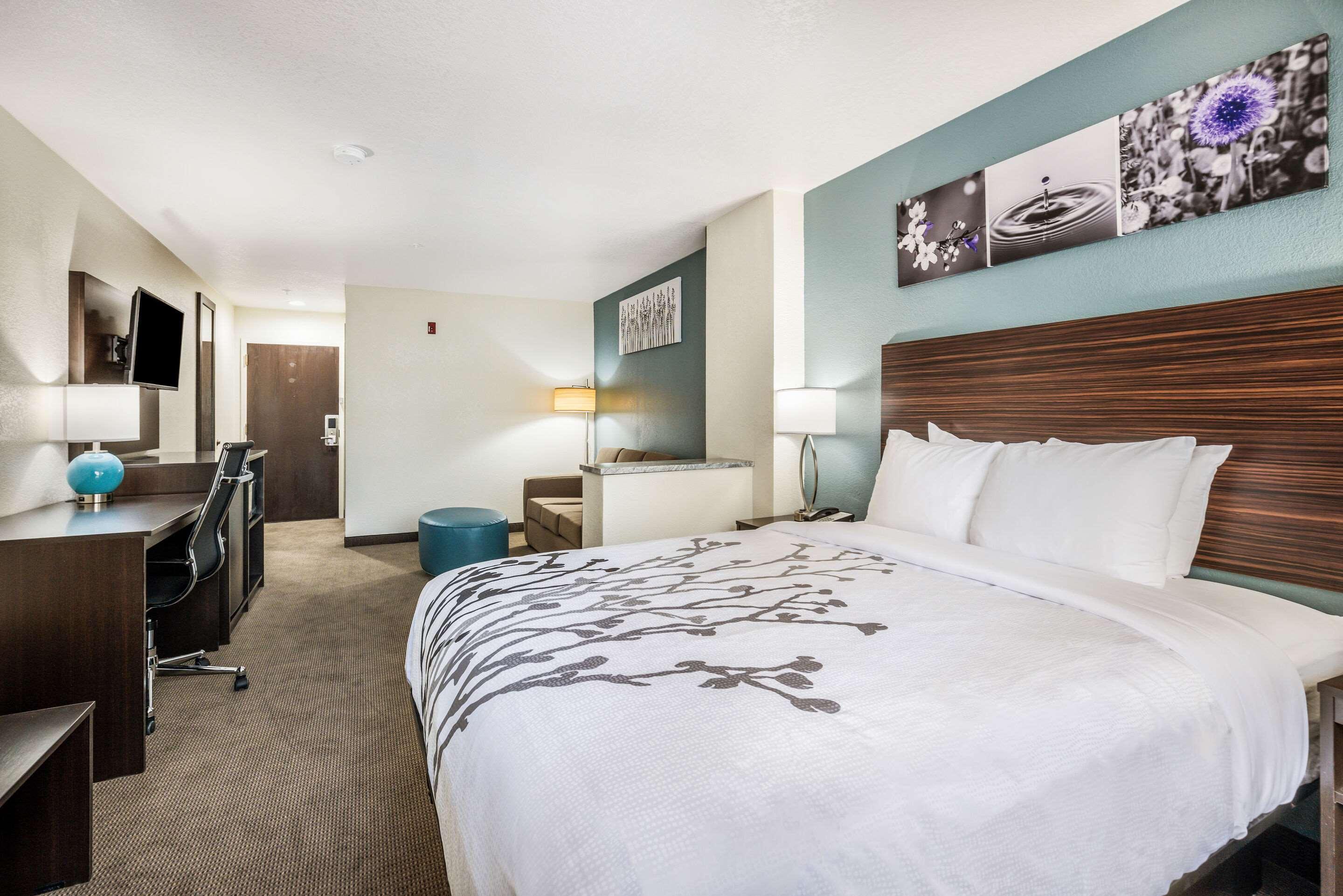 Suite Queen Size Bed