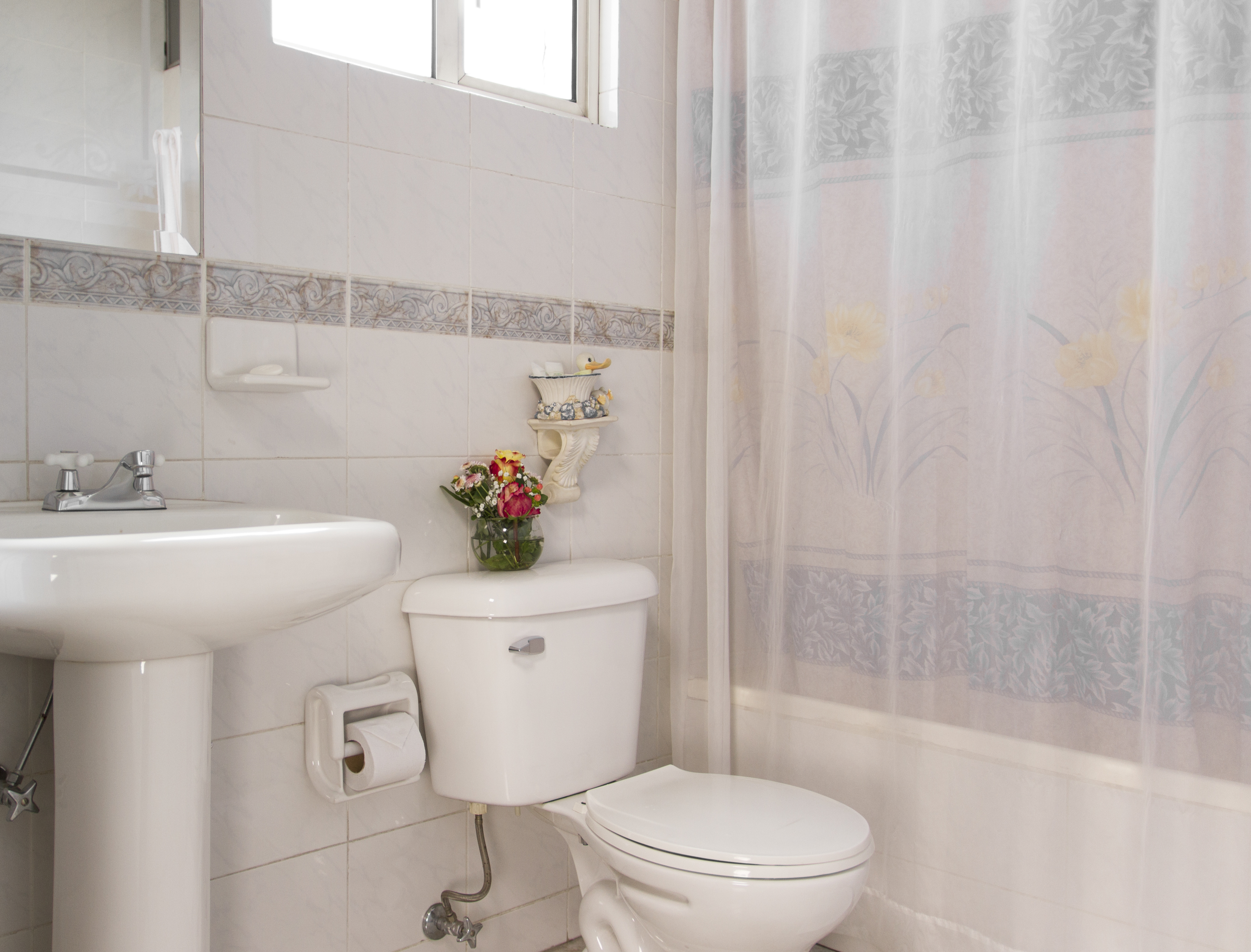 Single King Size Bed