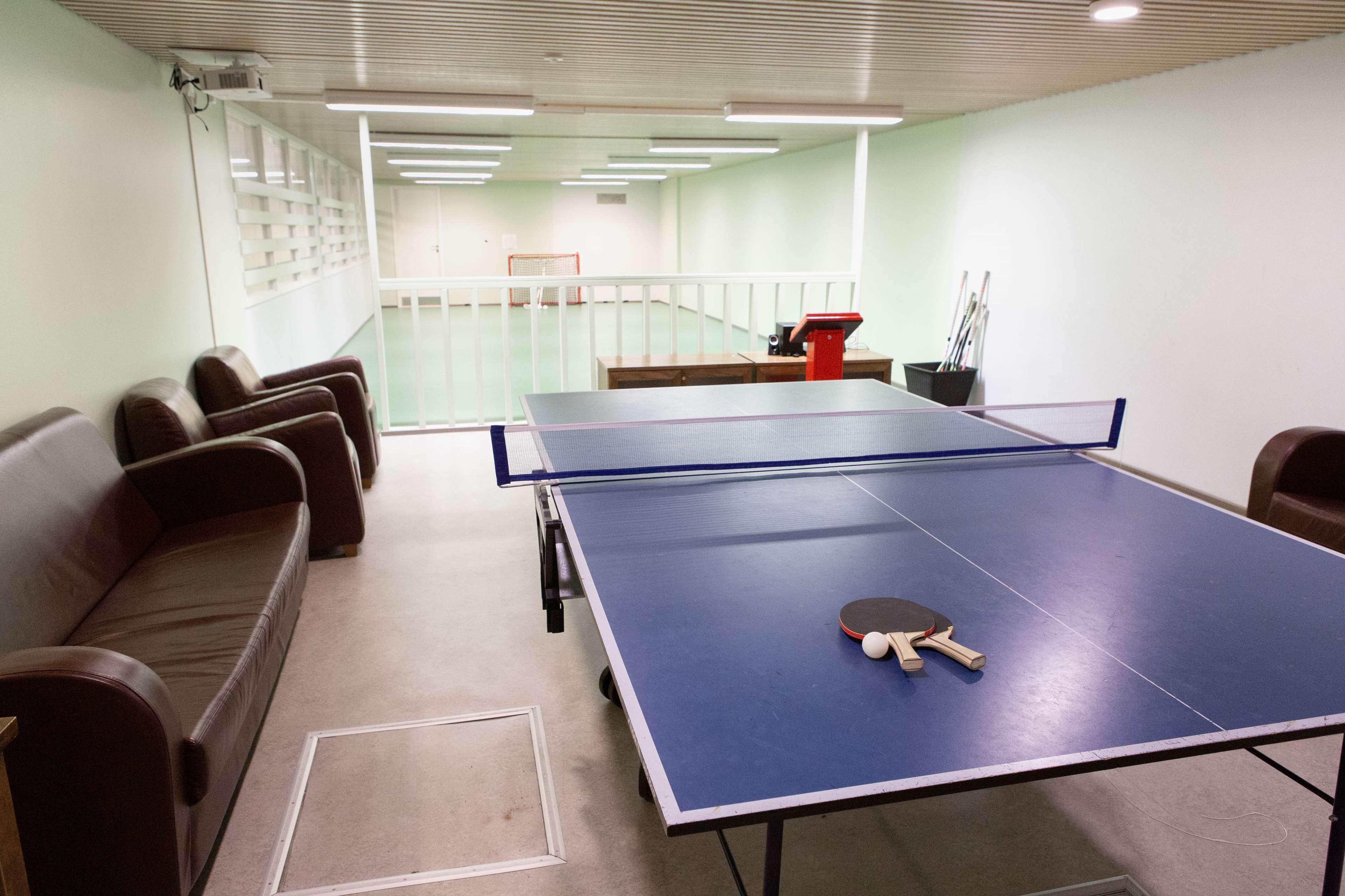 Sports and Entertainment