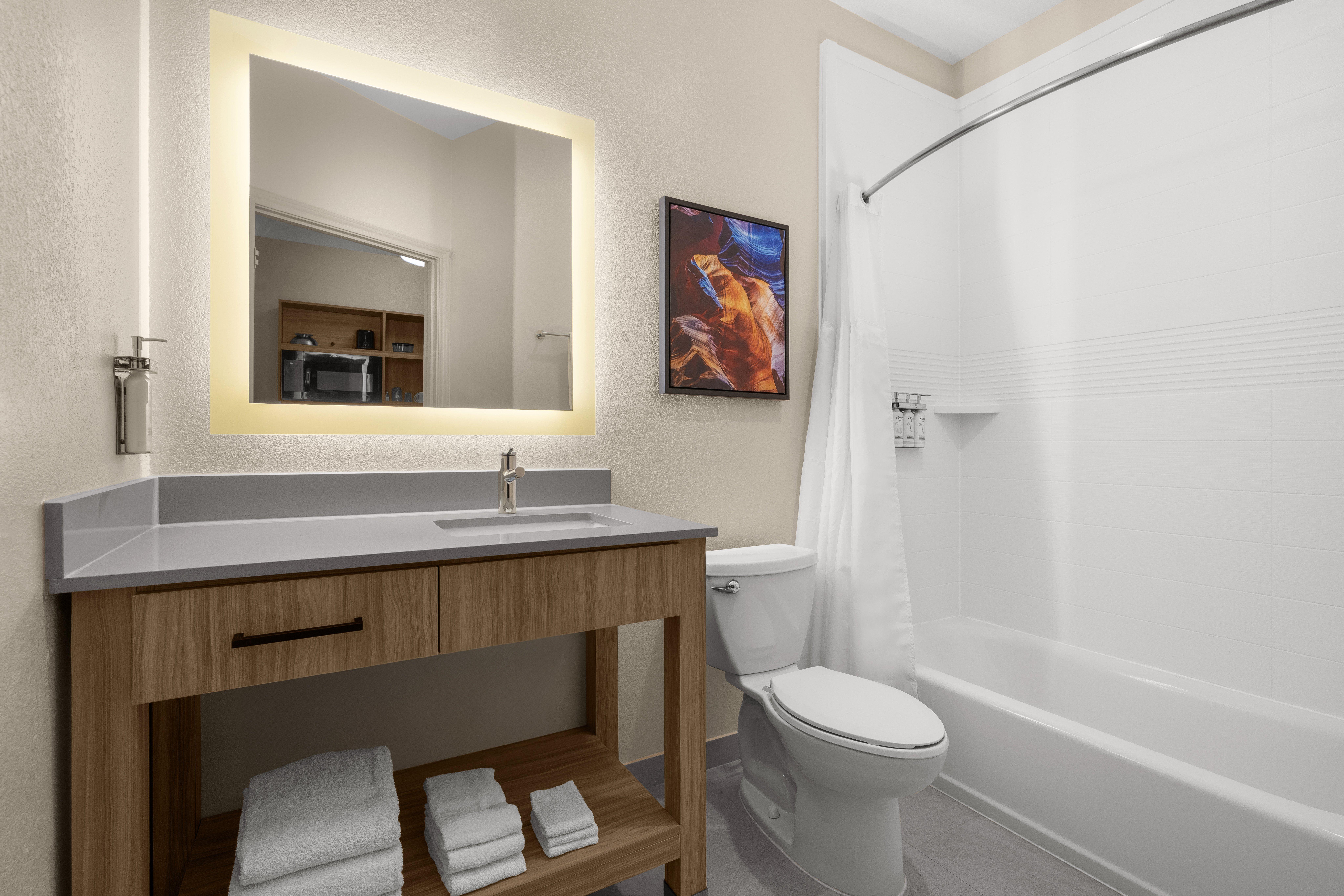 Suite King Bed One Bedroom 