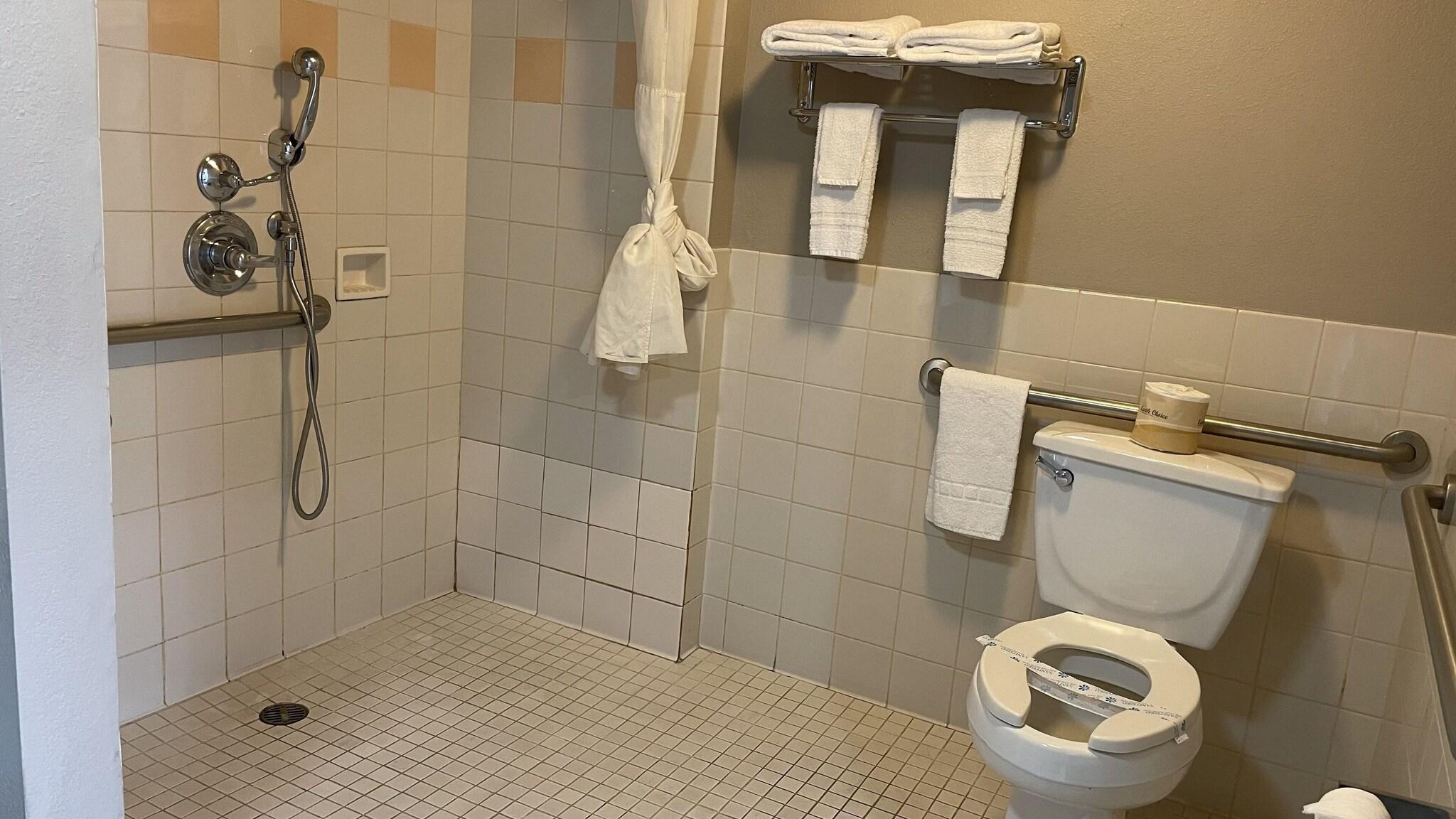 Double Accessible King Size Bed