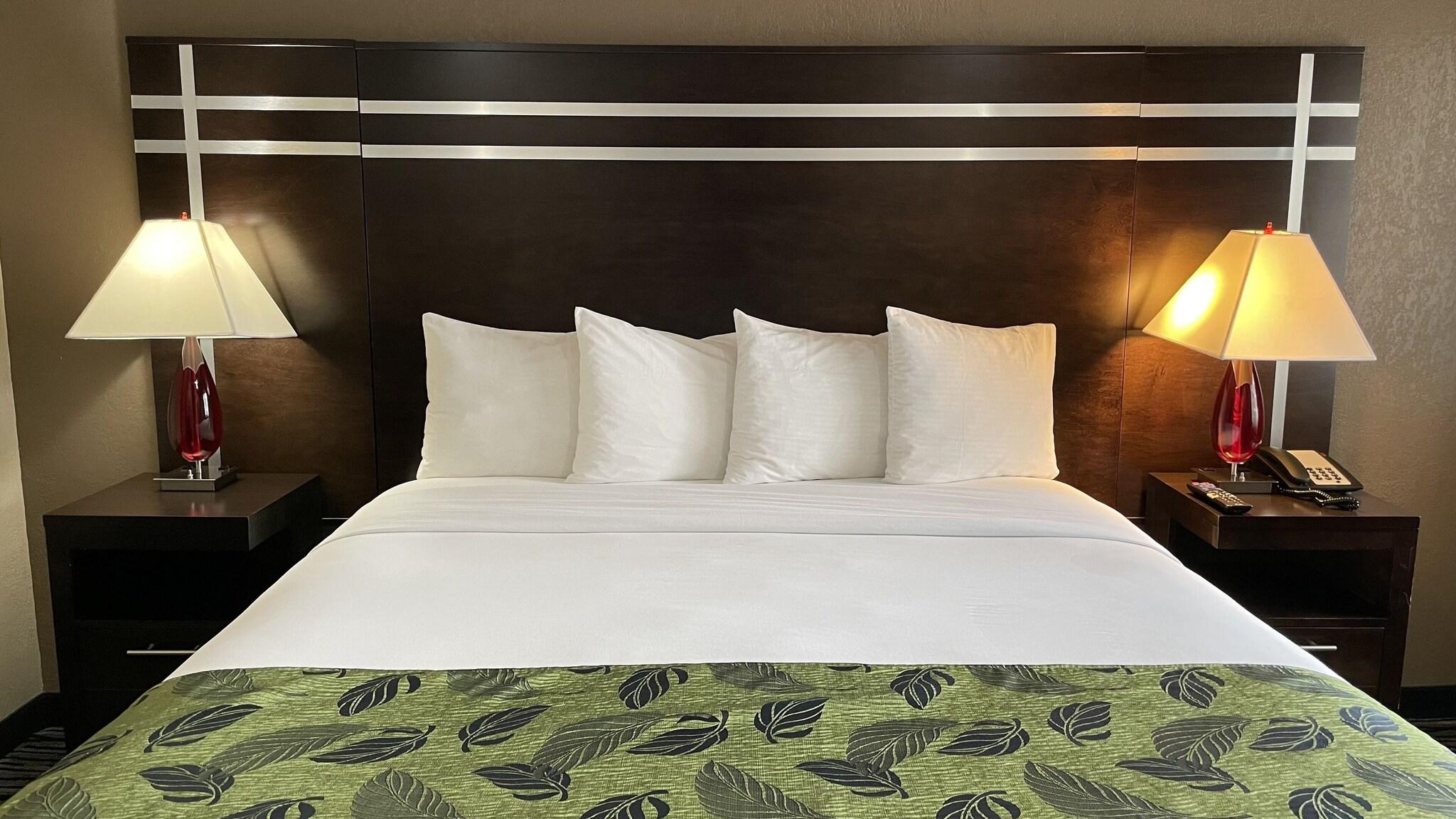 Double Accessible King Size Bed