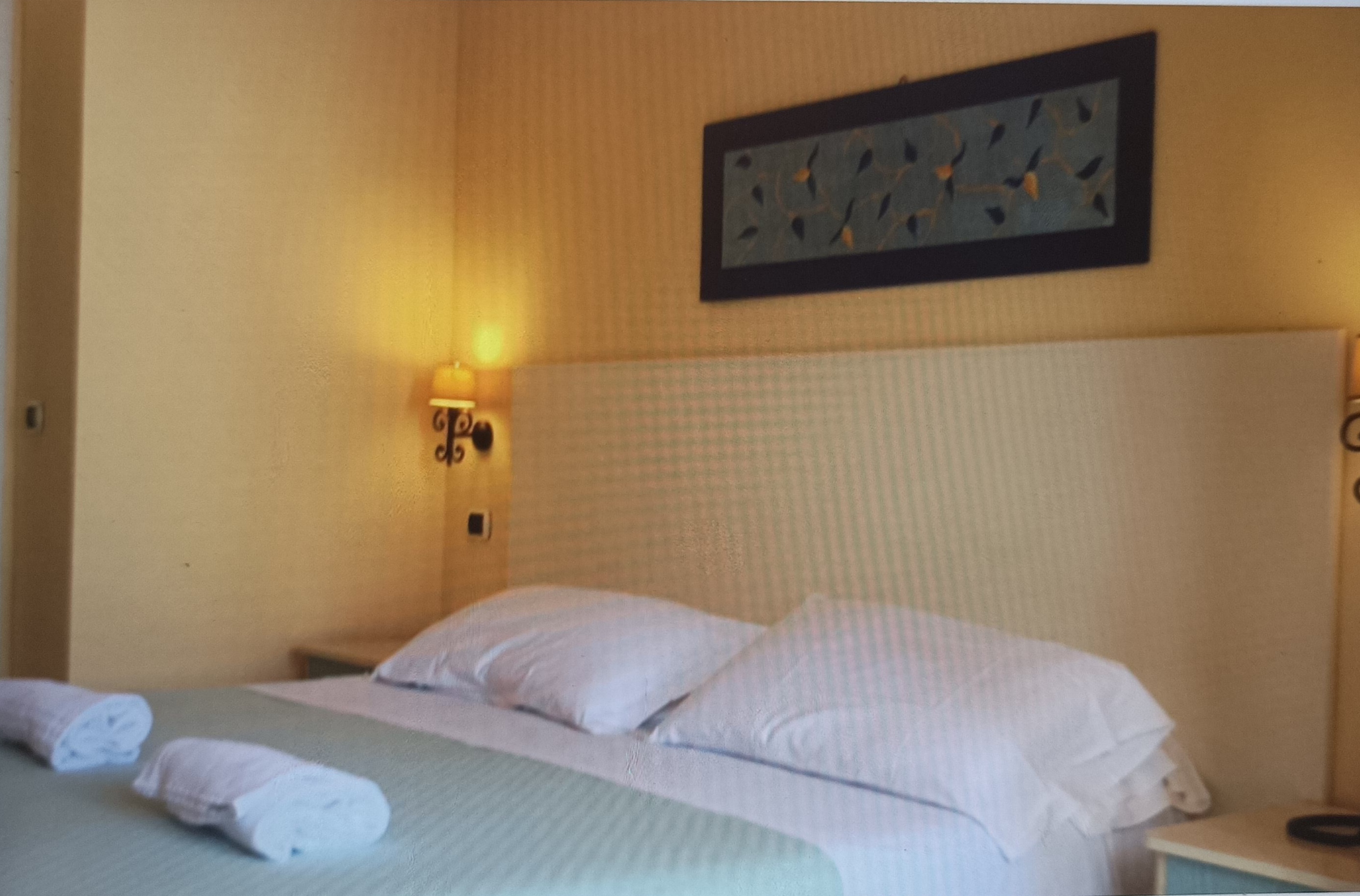 Double or Twin Superior