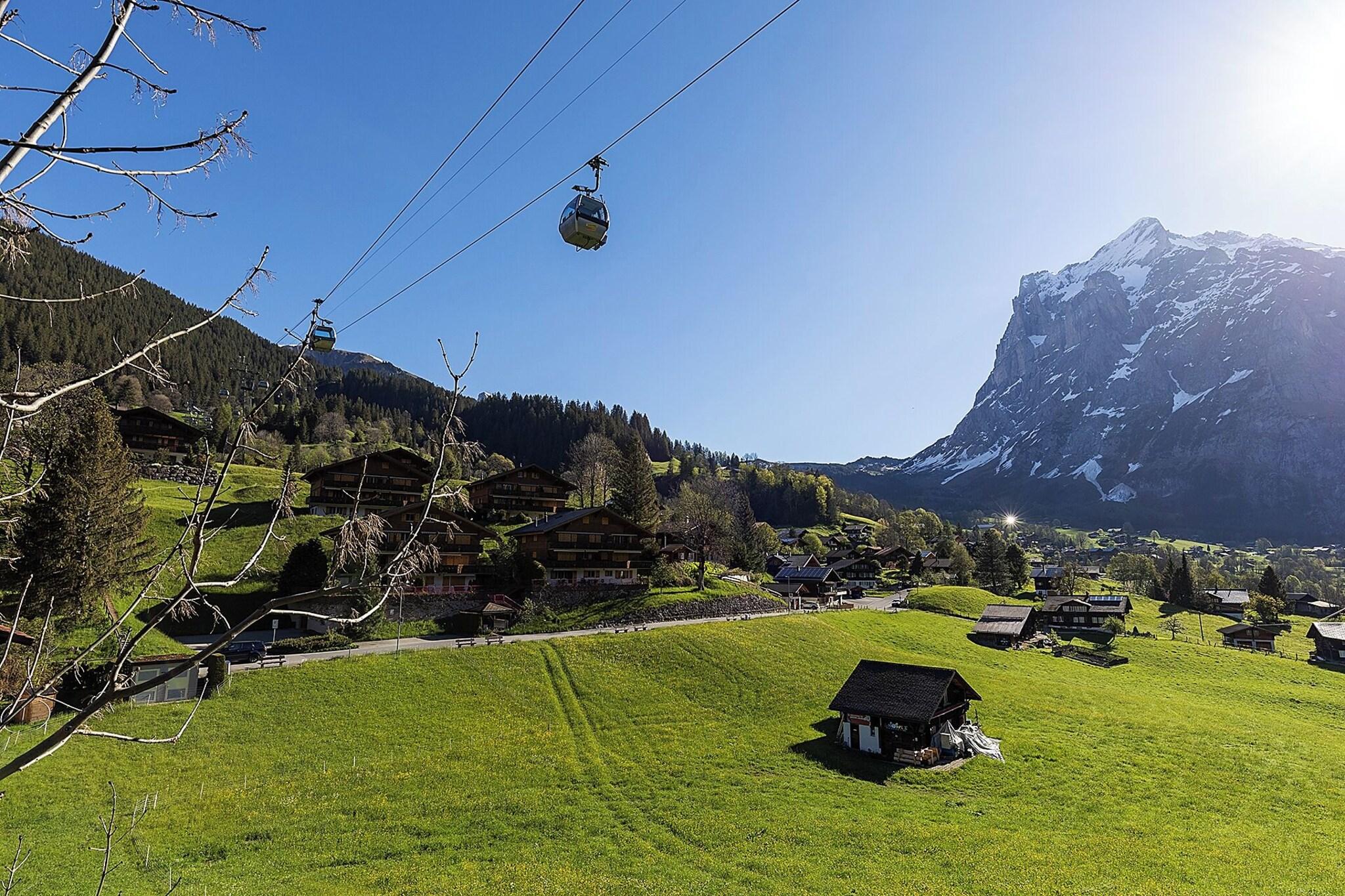 Junior Suite Mountain View