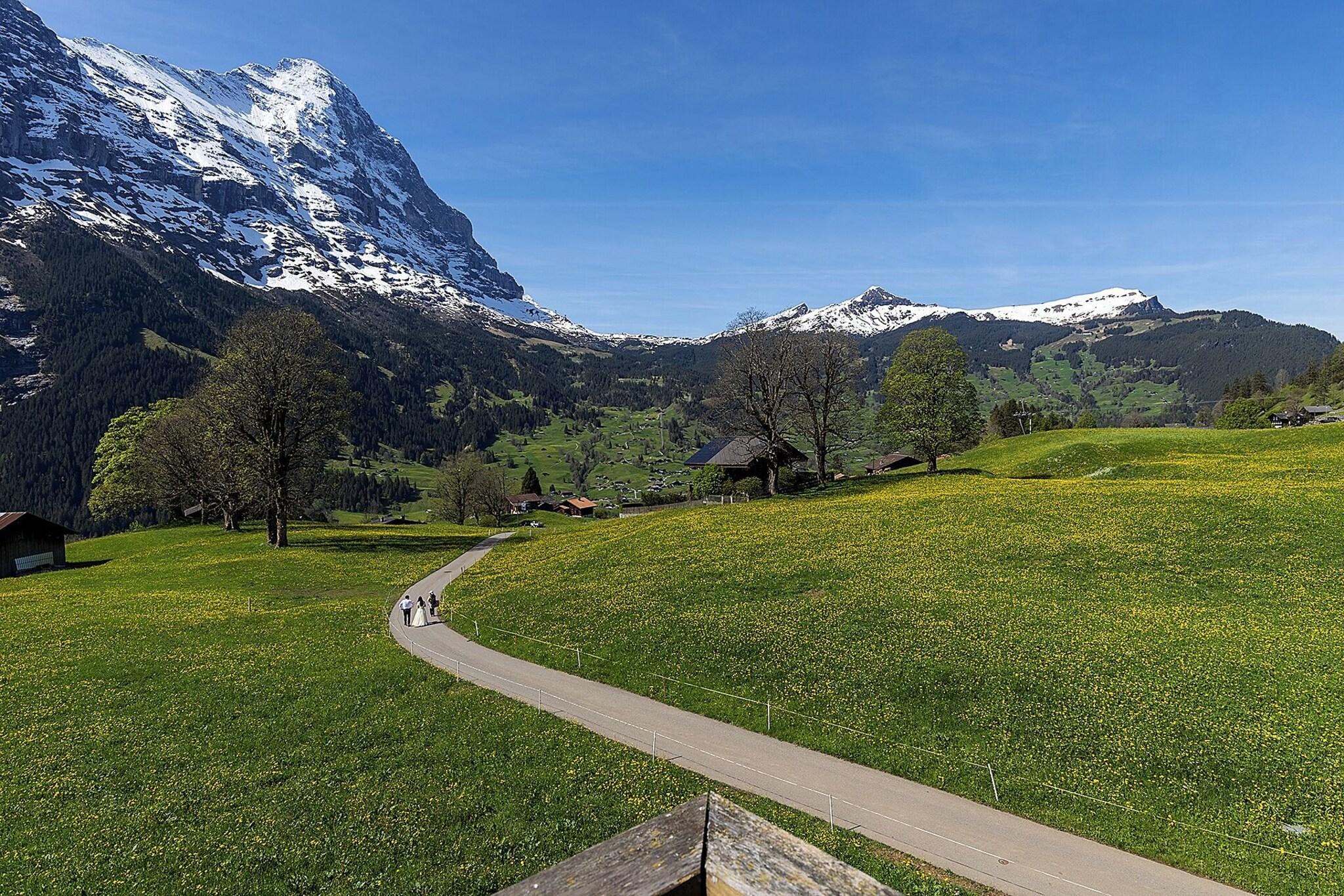 Junior Suite Mountain View