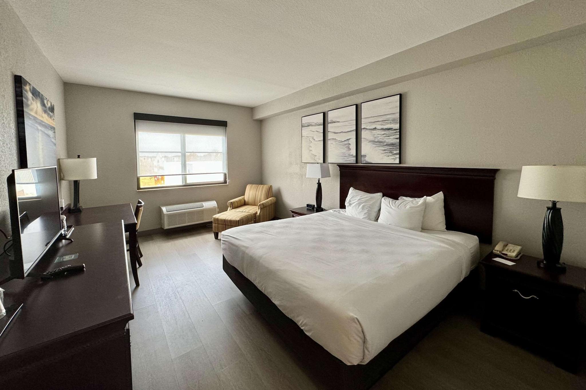 Studio King Size Bed