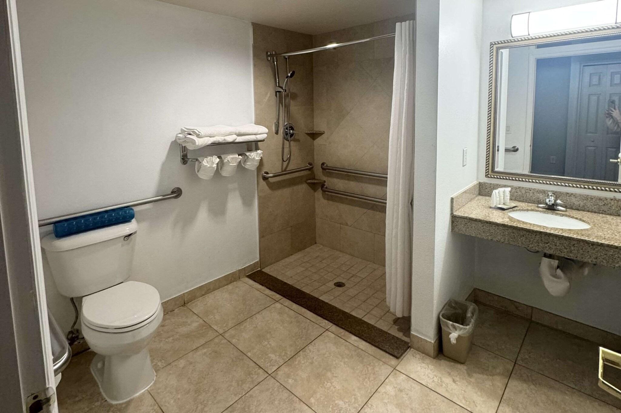 Room Accessible King Size Bed