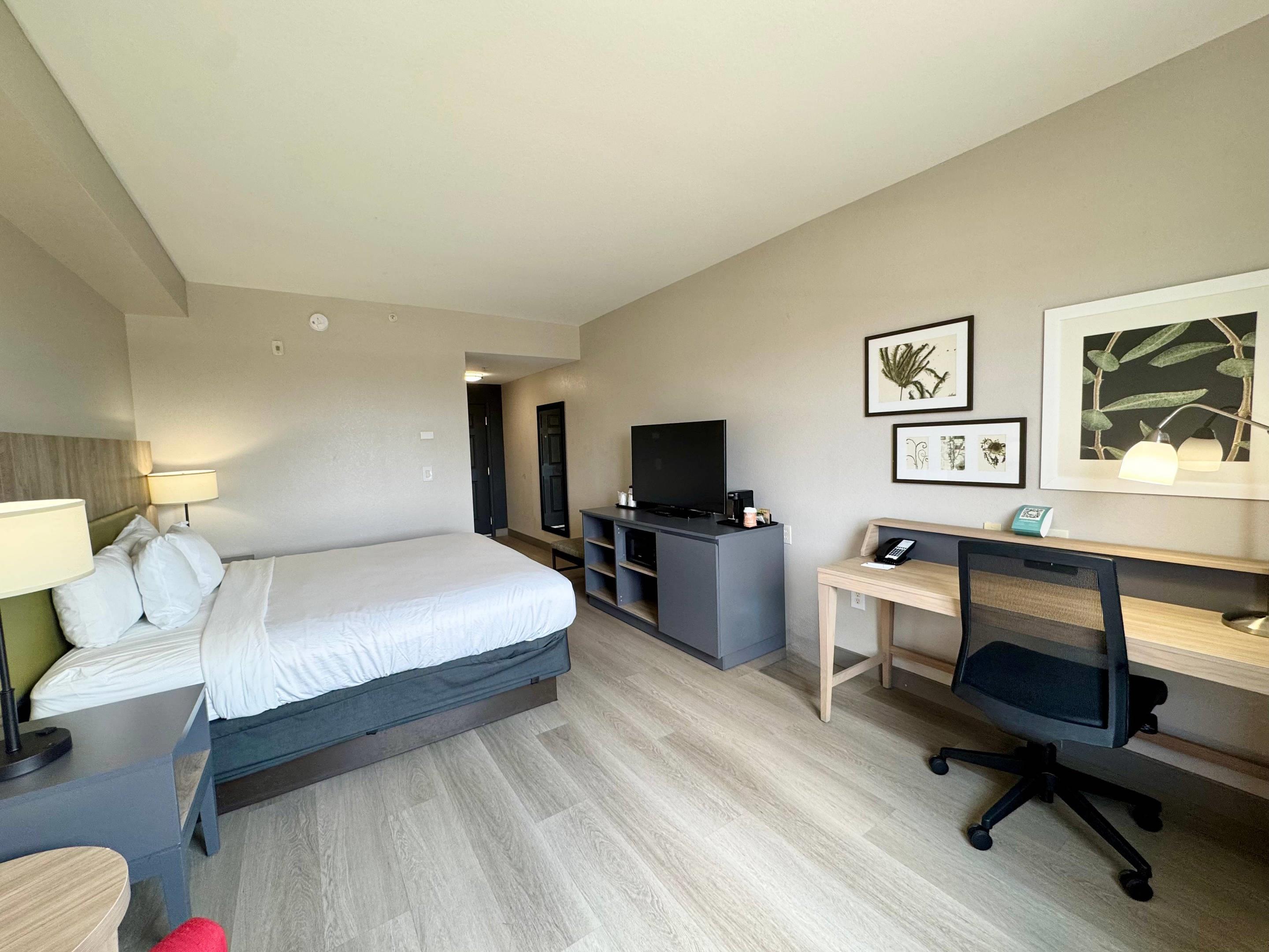 Room King Bed Non Smoking