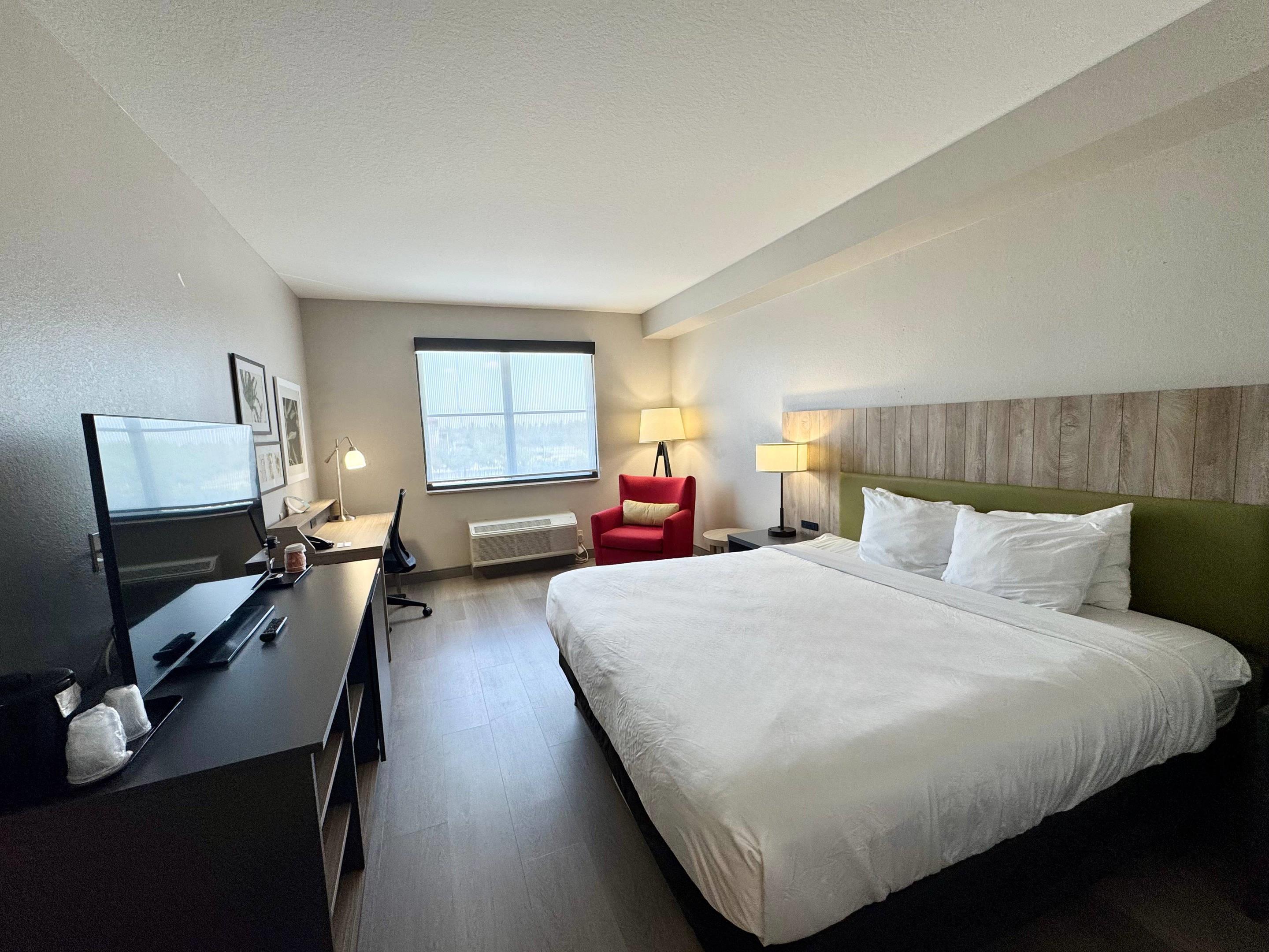 Room King Bed Non Smoking