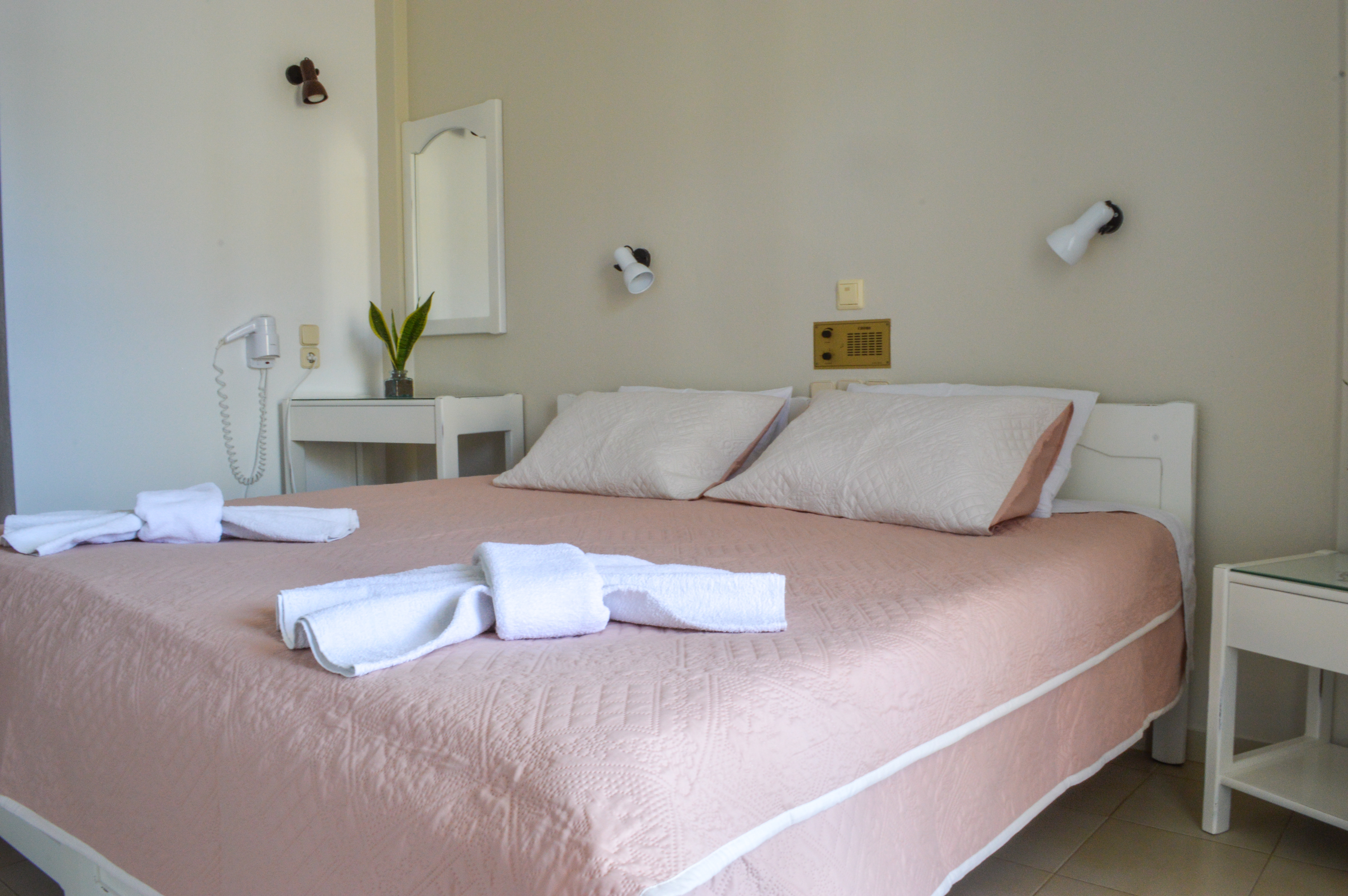 Double or Twin Economy