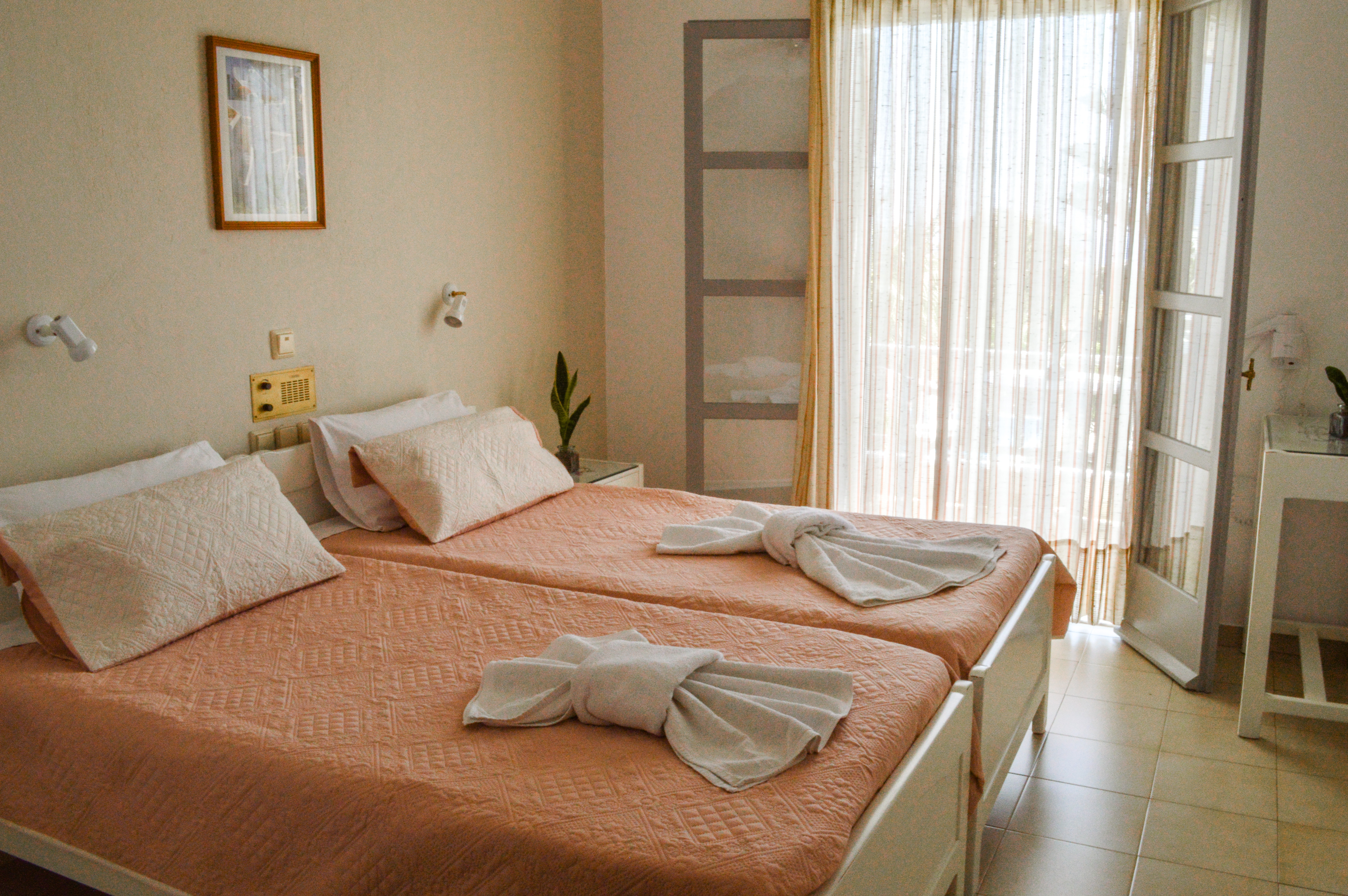 Double or Twin Economy