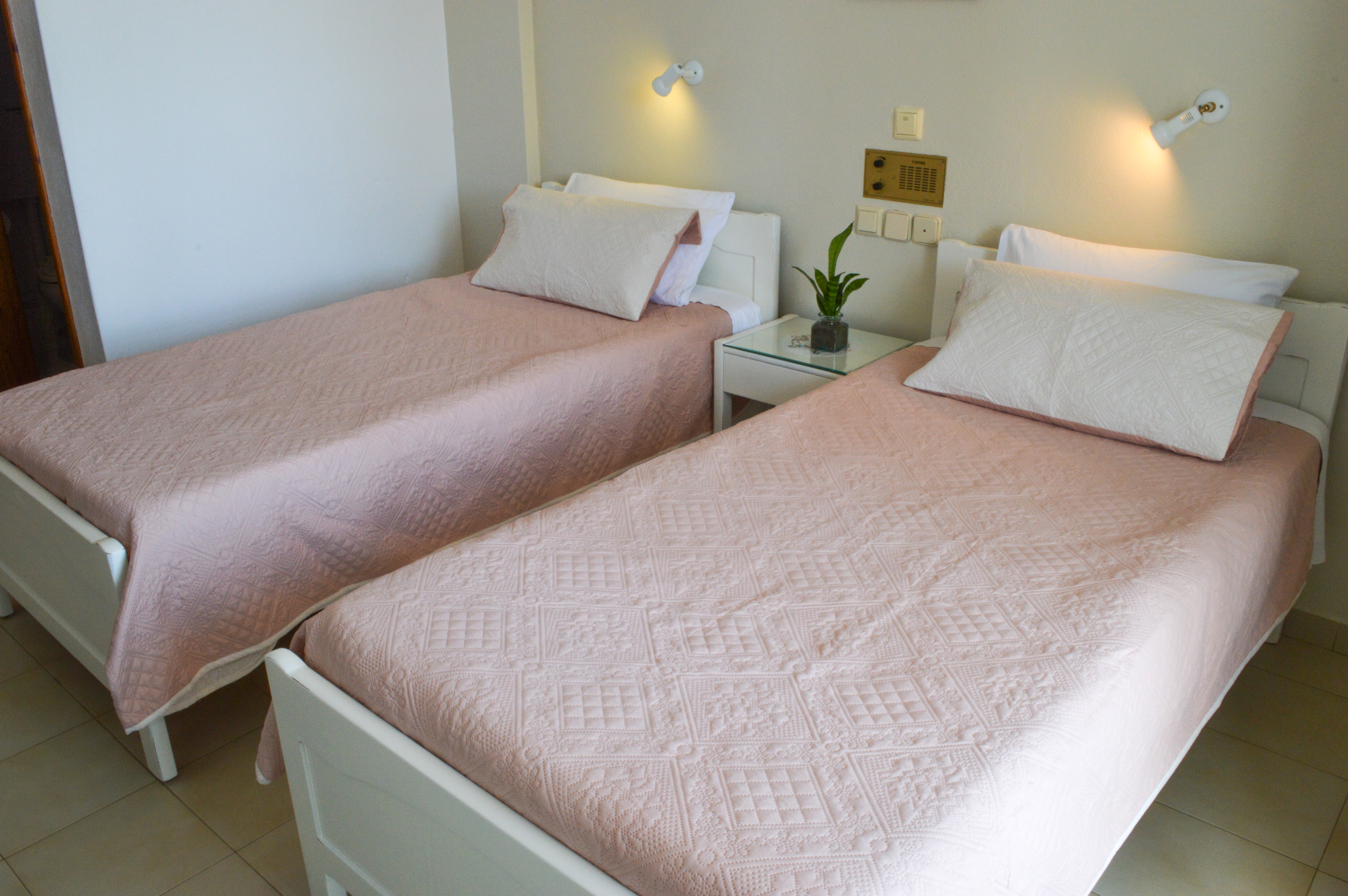 Double or Twin Economy