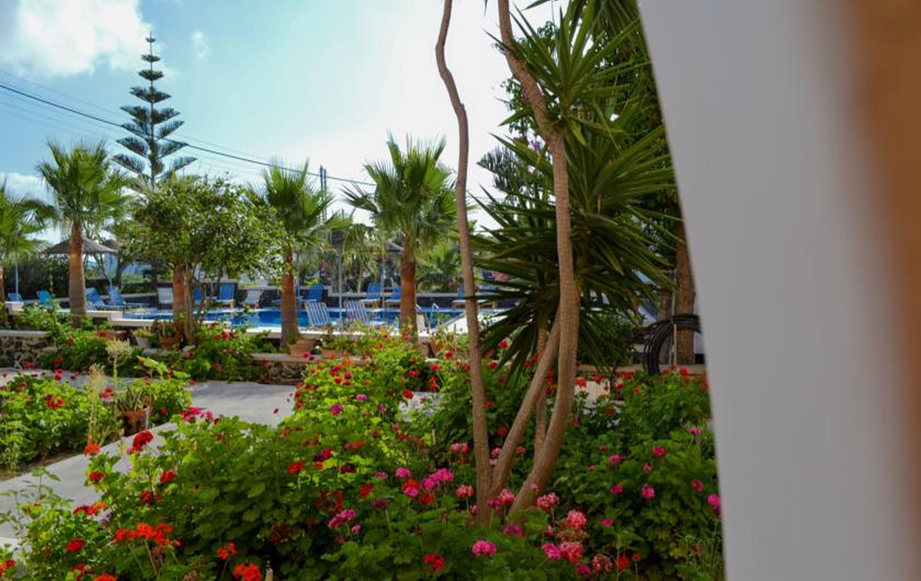 Double or Twin Economy