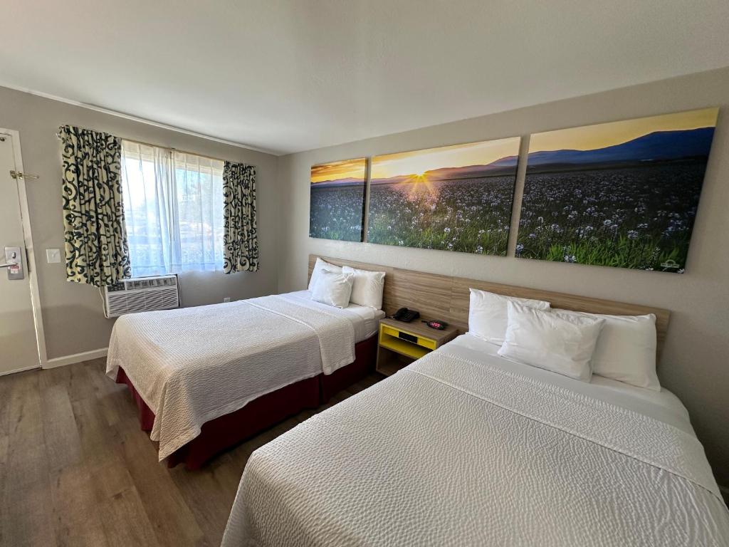 Quadruple Two Double Beds