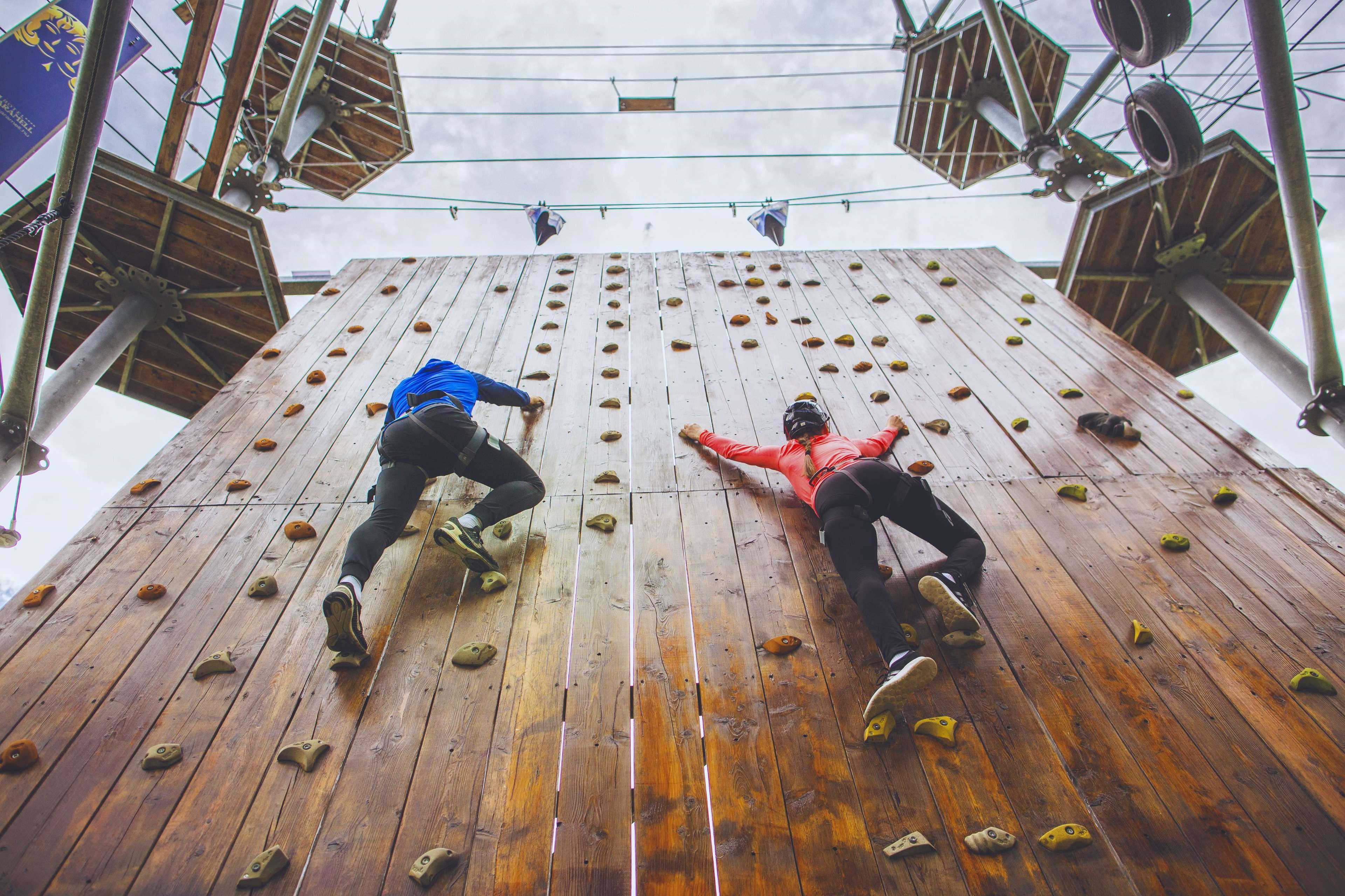 Sports and Entertainment