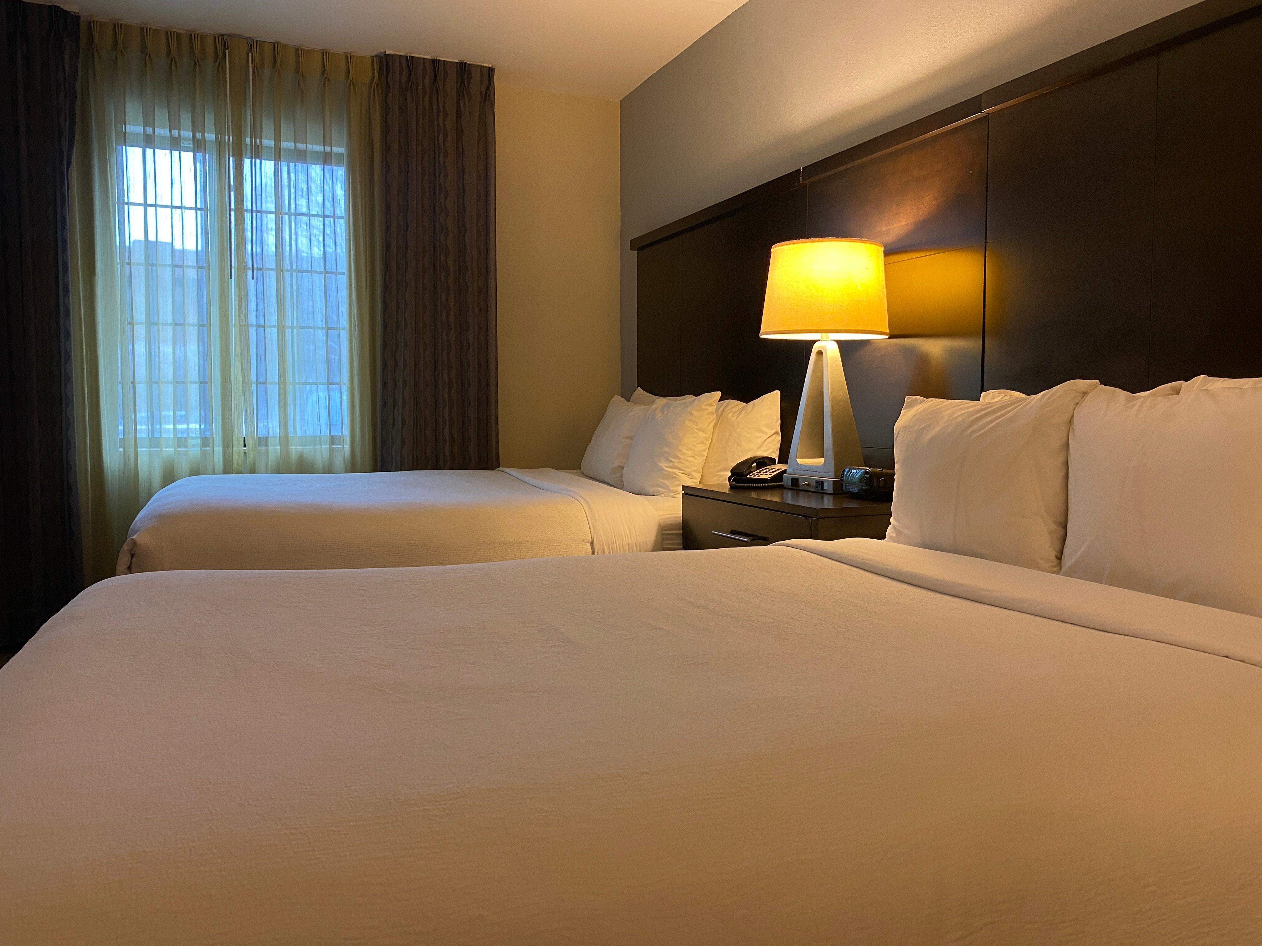 Suite Two Double Beds One Bedroom 