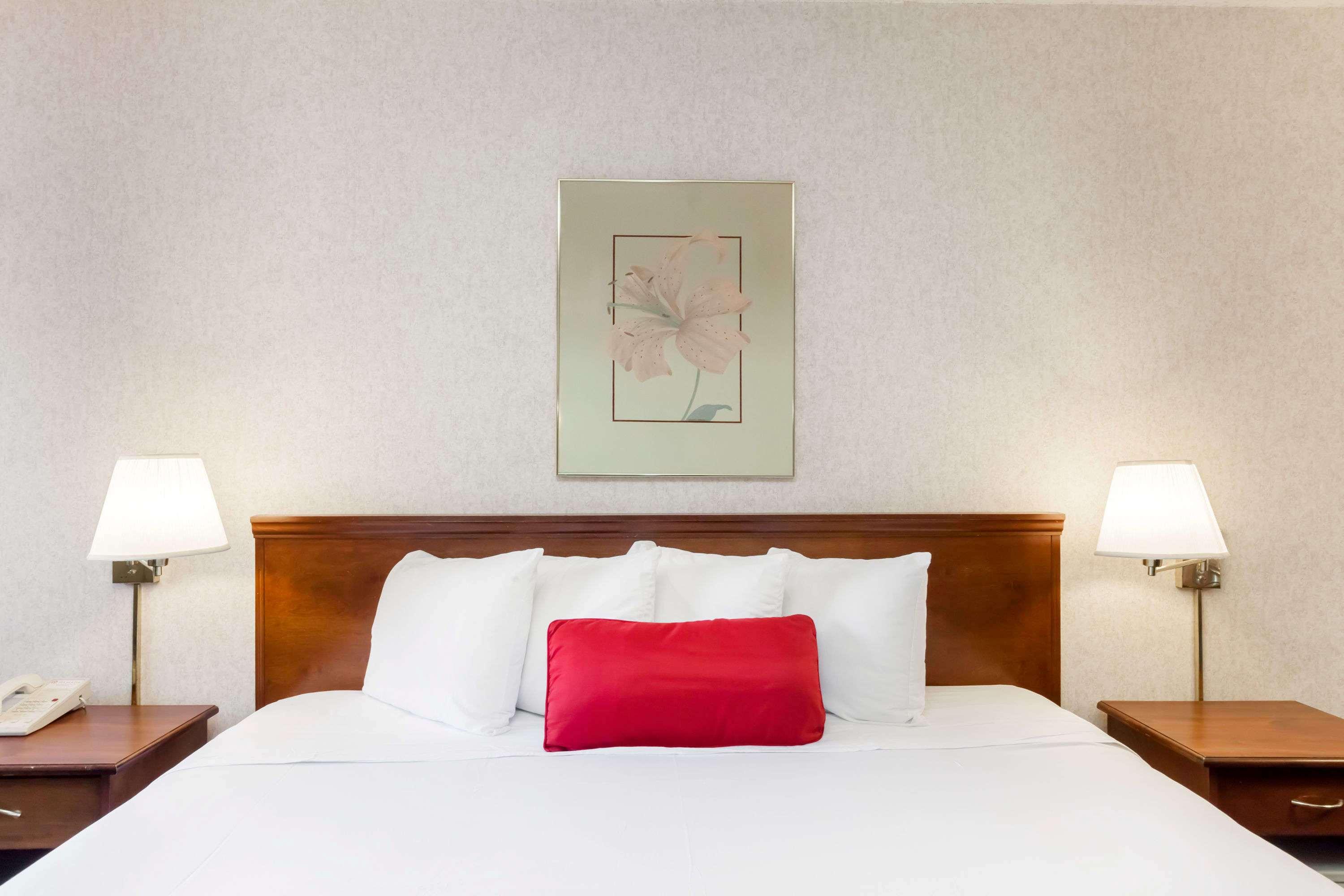 Double King Bed Non Smoking