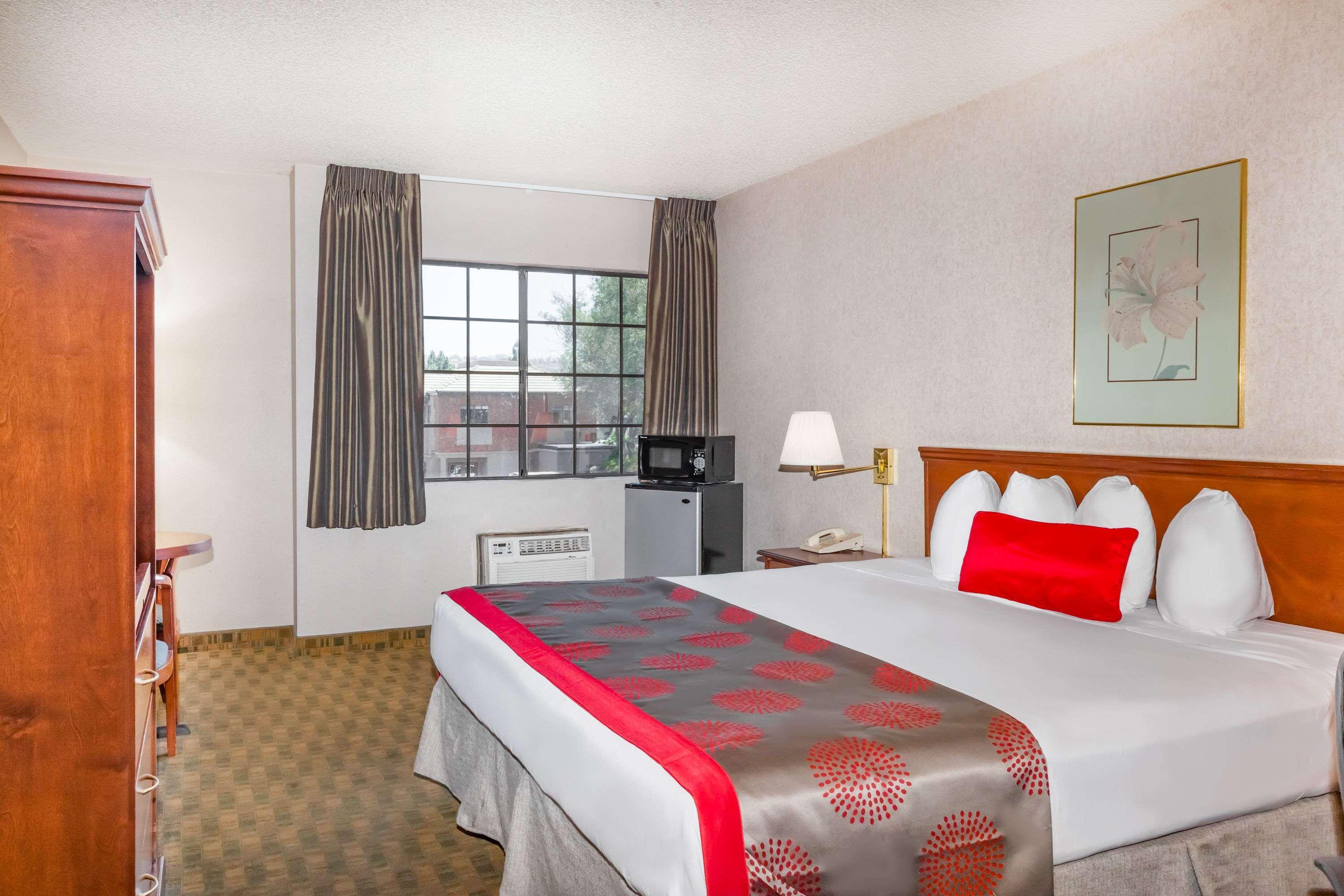 Double King Bed Non Smoking