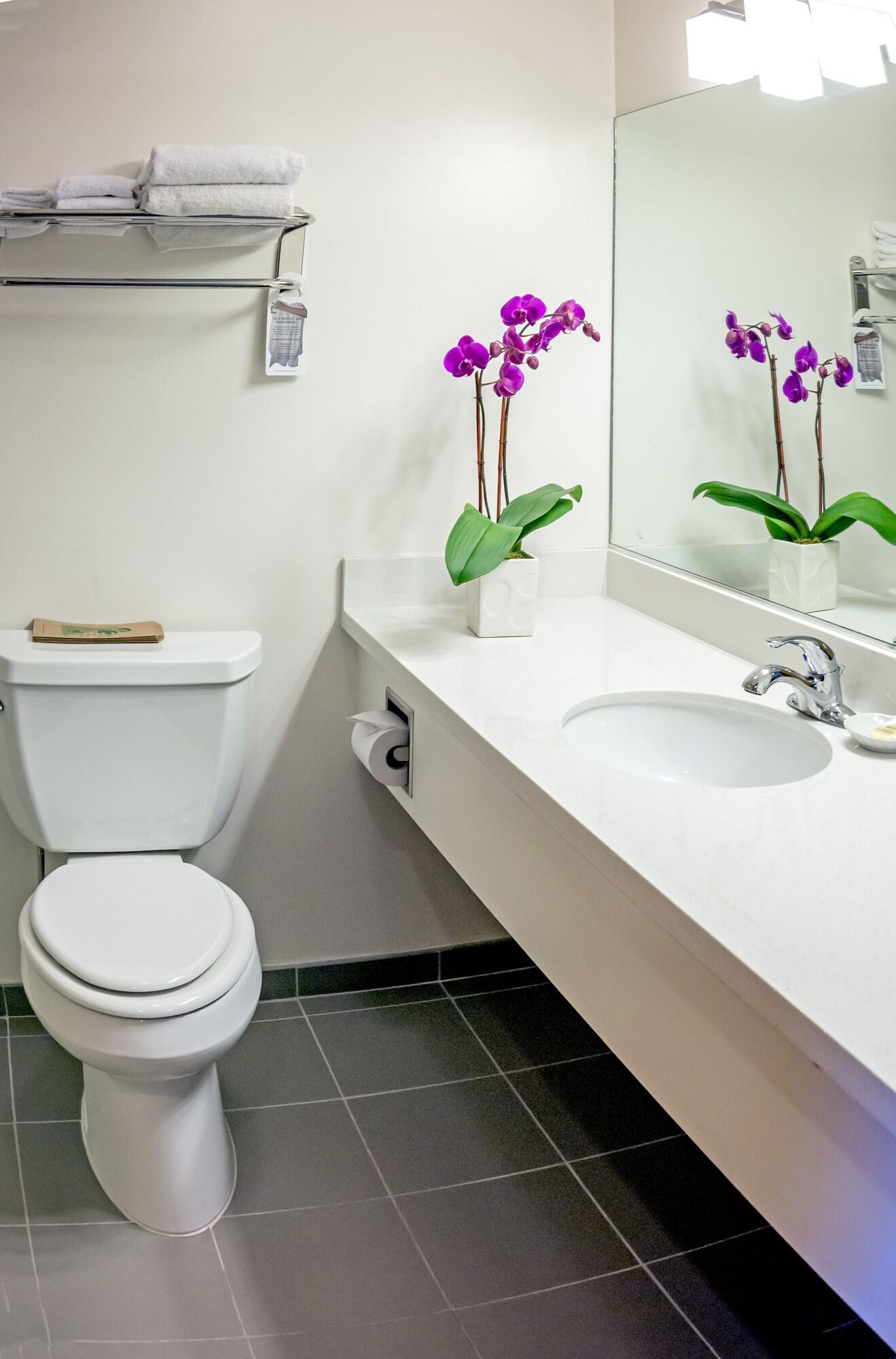 Double Deluxe Queen Bed