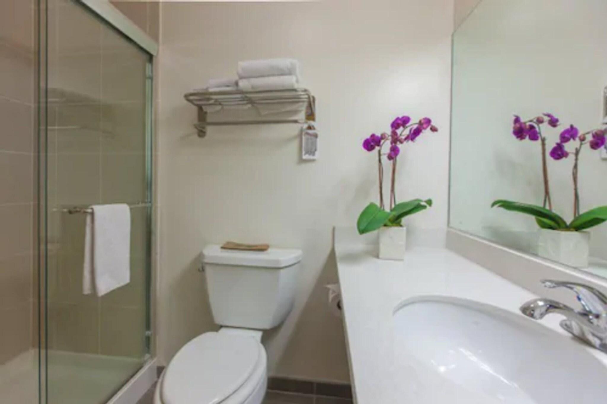 Double Deluxe Two Double Beds