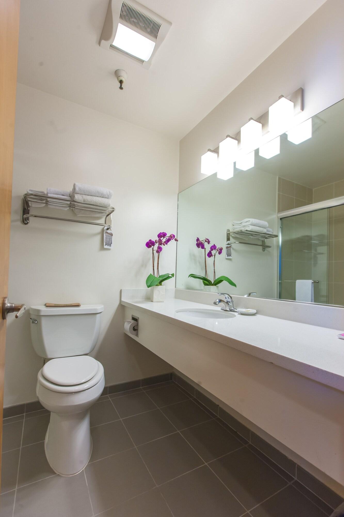 Double Deluxe Two Double Beds