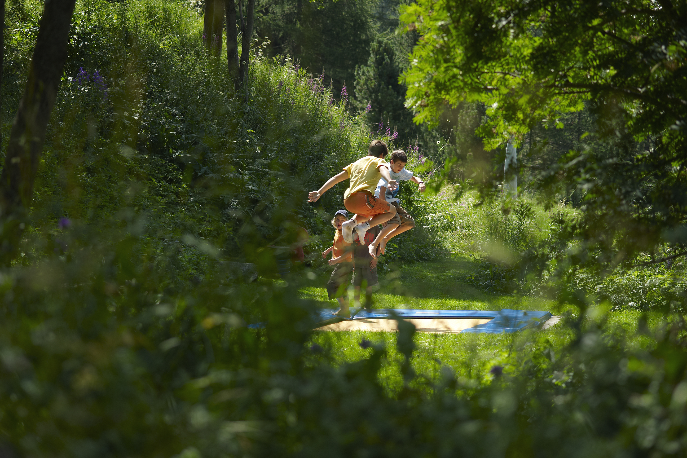 Sports and Entertainment