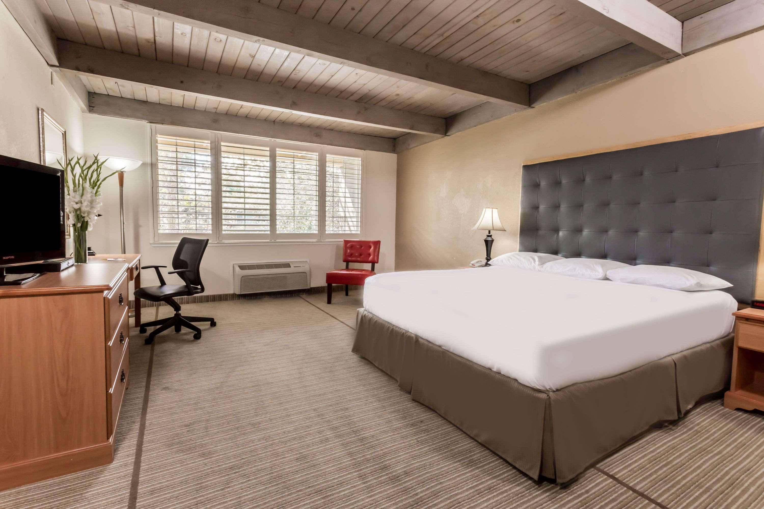 Double King Bed Non Smoking