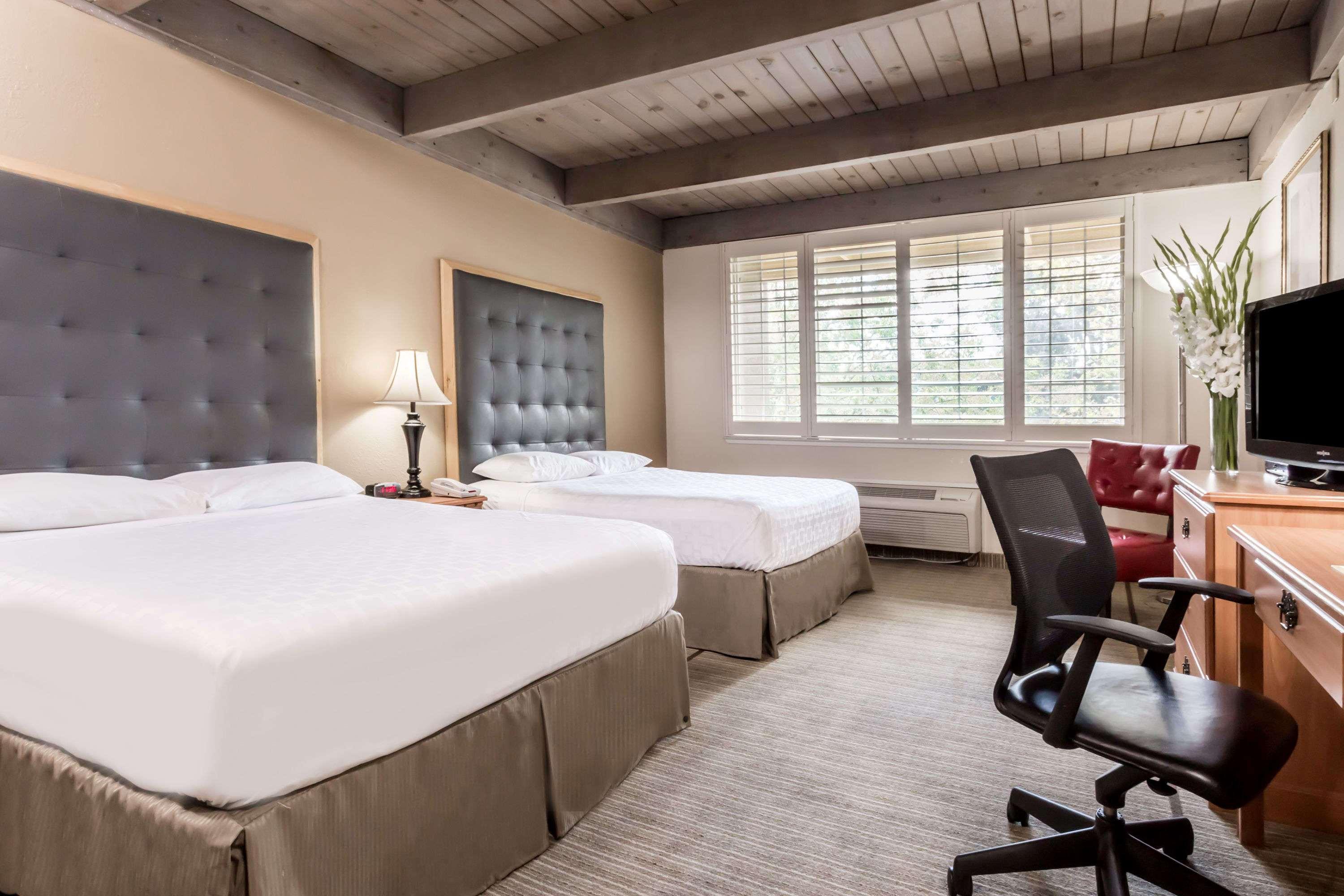 Quadruple Two Queen Beds