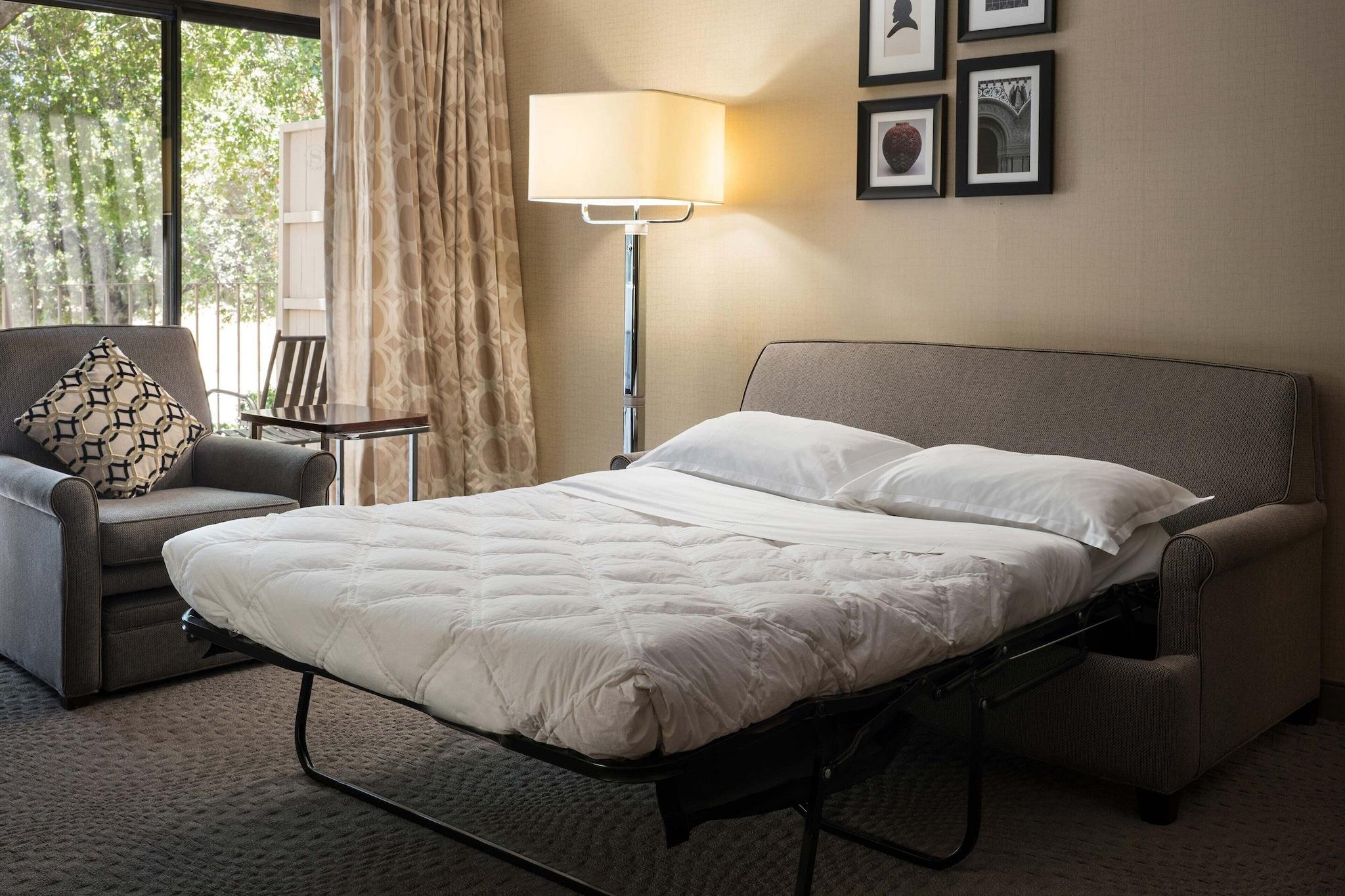 Suite King Bed Non Smoking