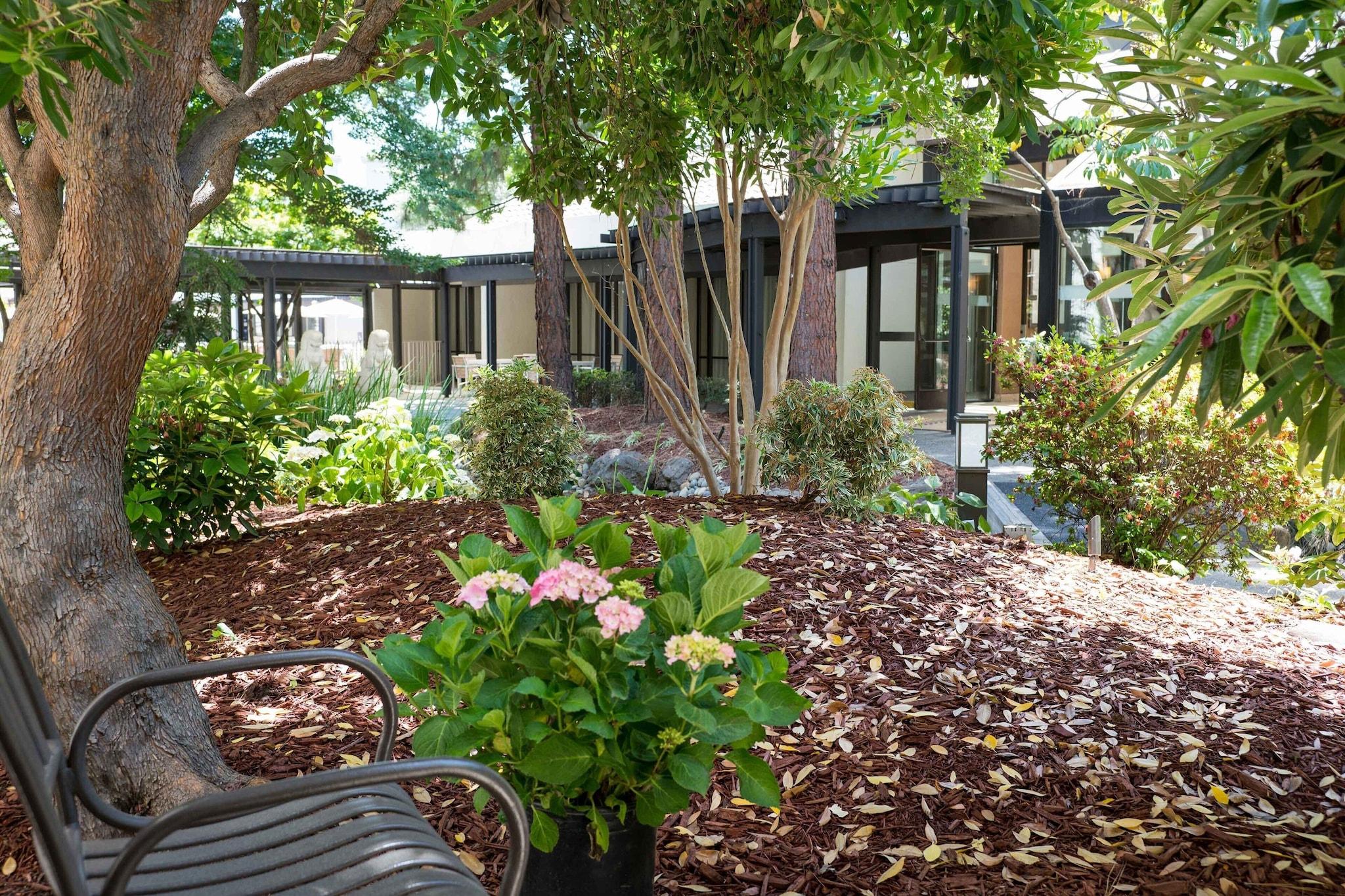 Quadruple Deluxe Two Double Beds