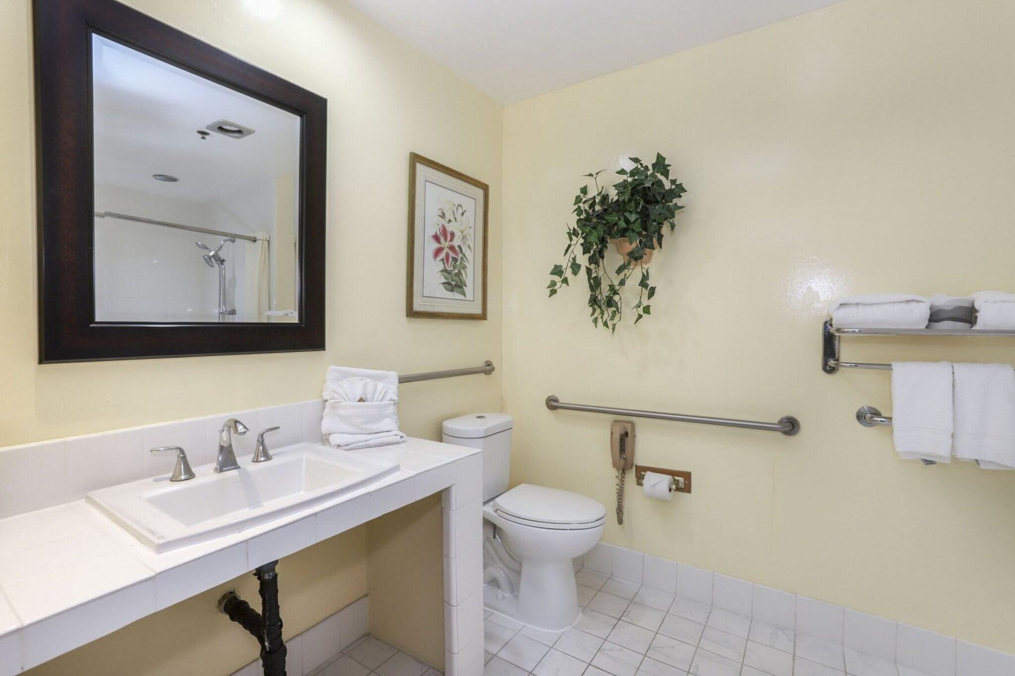 Double Accesible Deluxe 