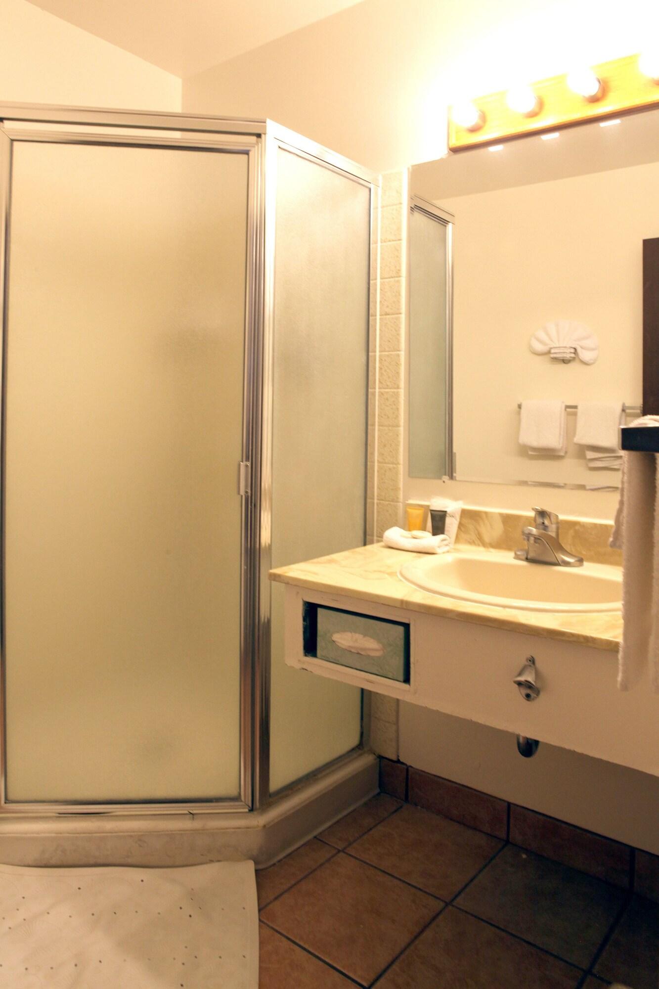 Double King Bed Non Smoking