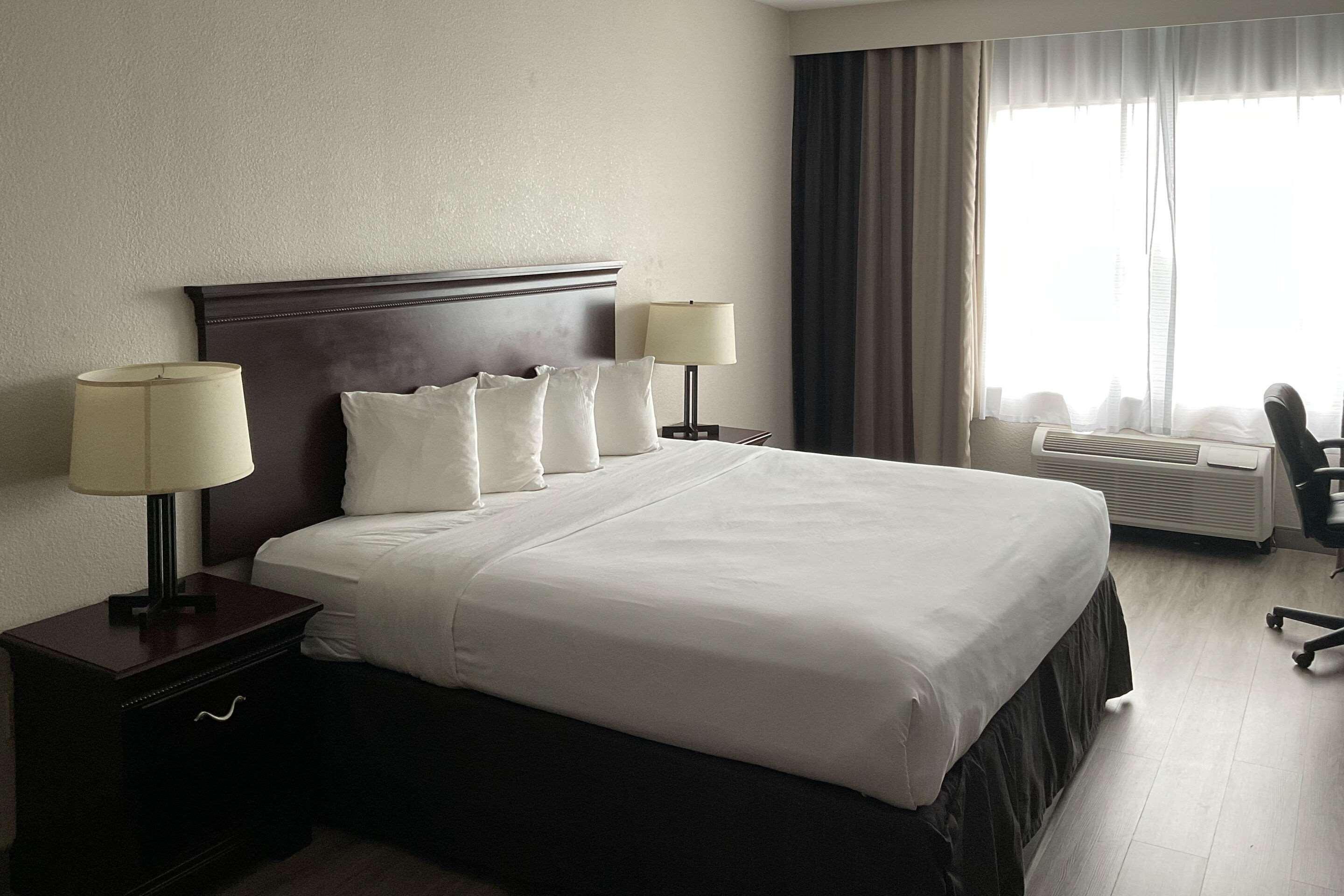 Suite Accessible King Size Bed