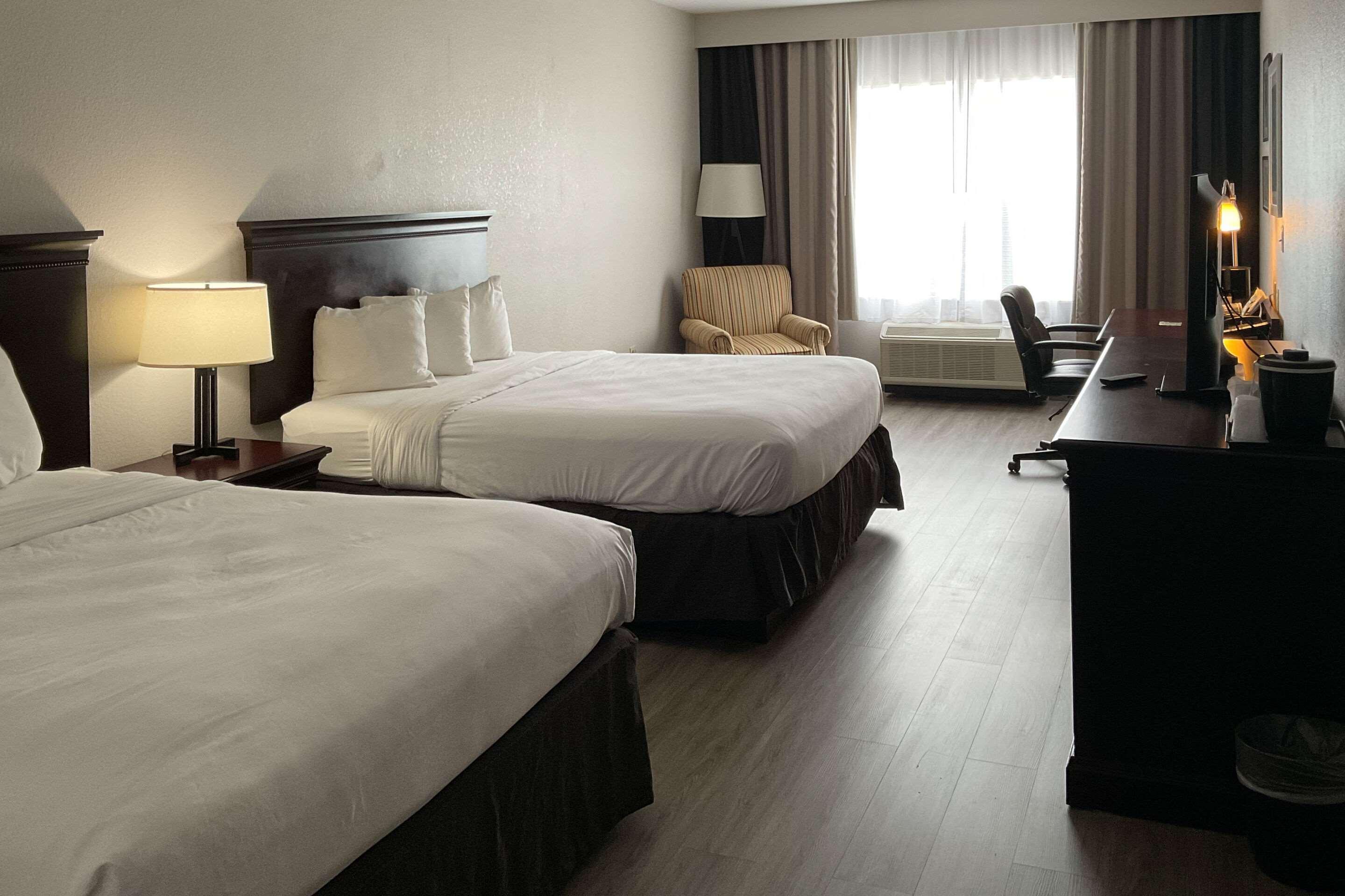 Room Accessible-two Queen Beds