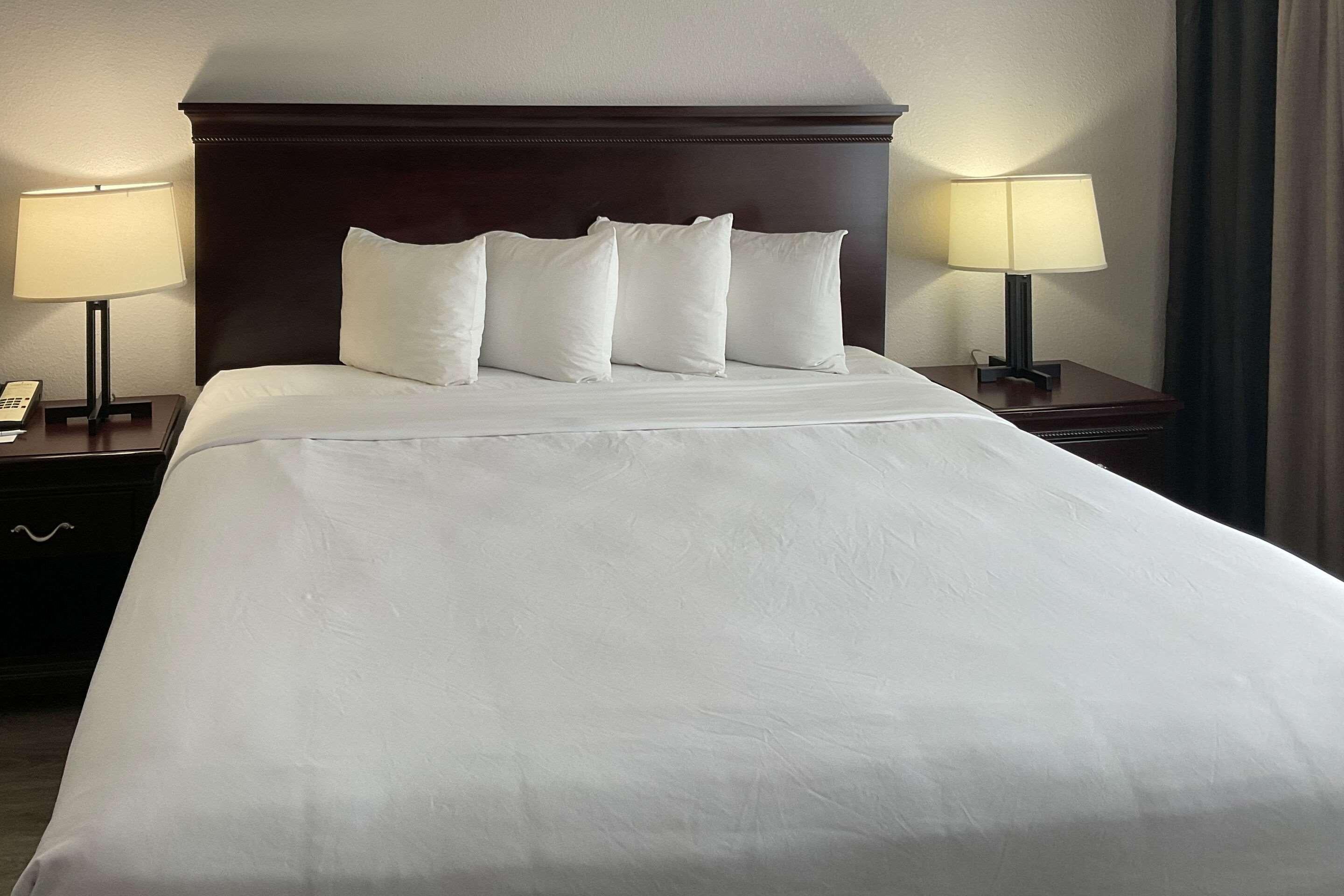 Room Accessible King Size Bed